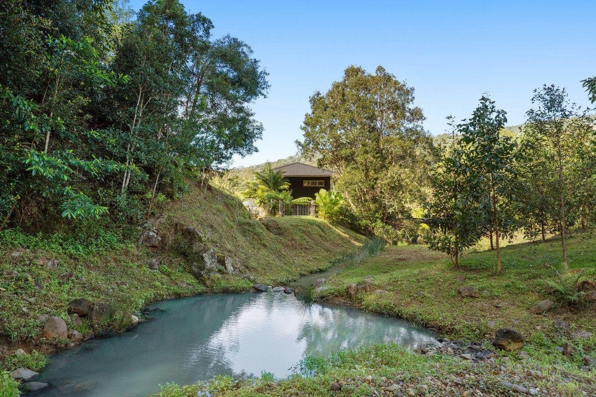 Property for Sale: Currumbin Valley, QLD 4223, QLD, 4223
