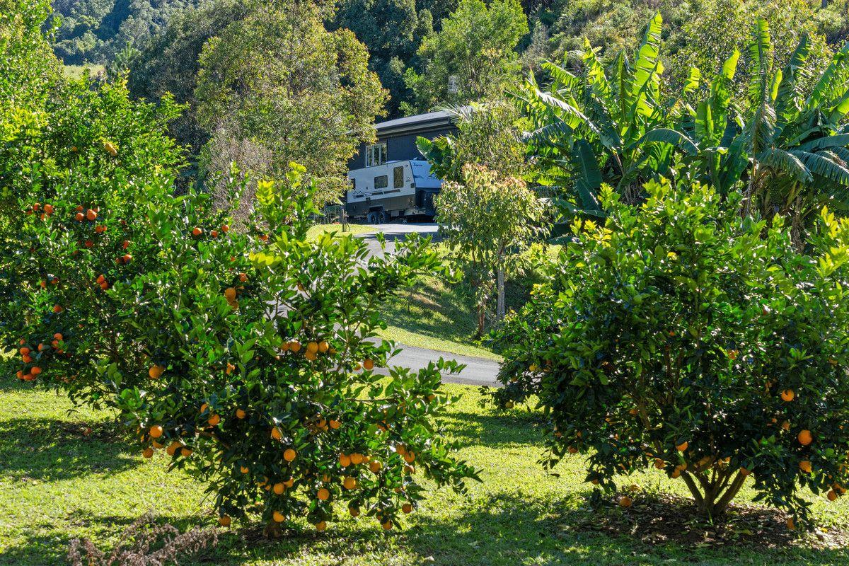 Property for Sale: Currumbin Valley, QLD 4223, QLD, 4223