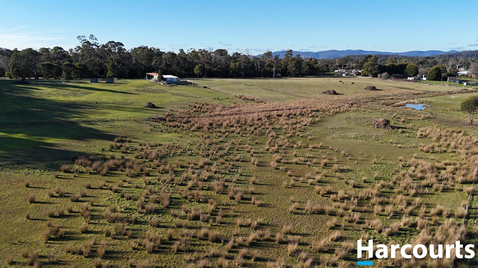 Land for Sale: Beaconsfield, TAS 7270, TAS, 7270