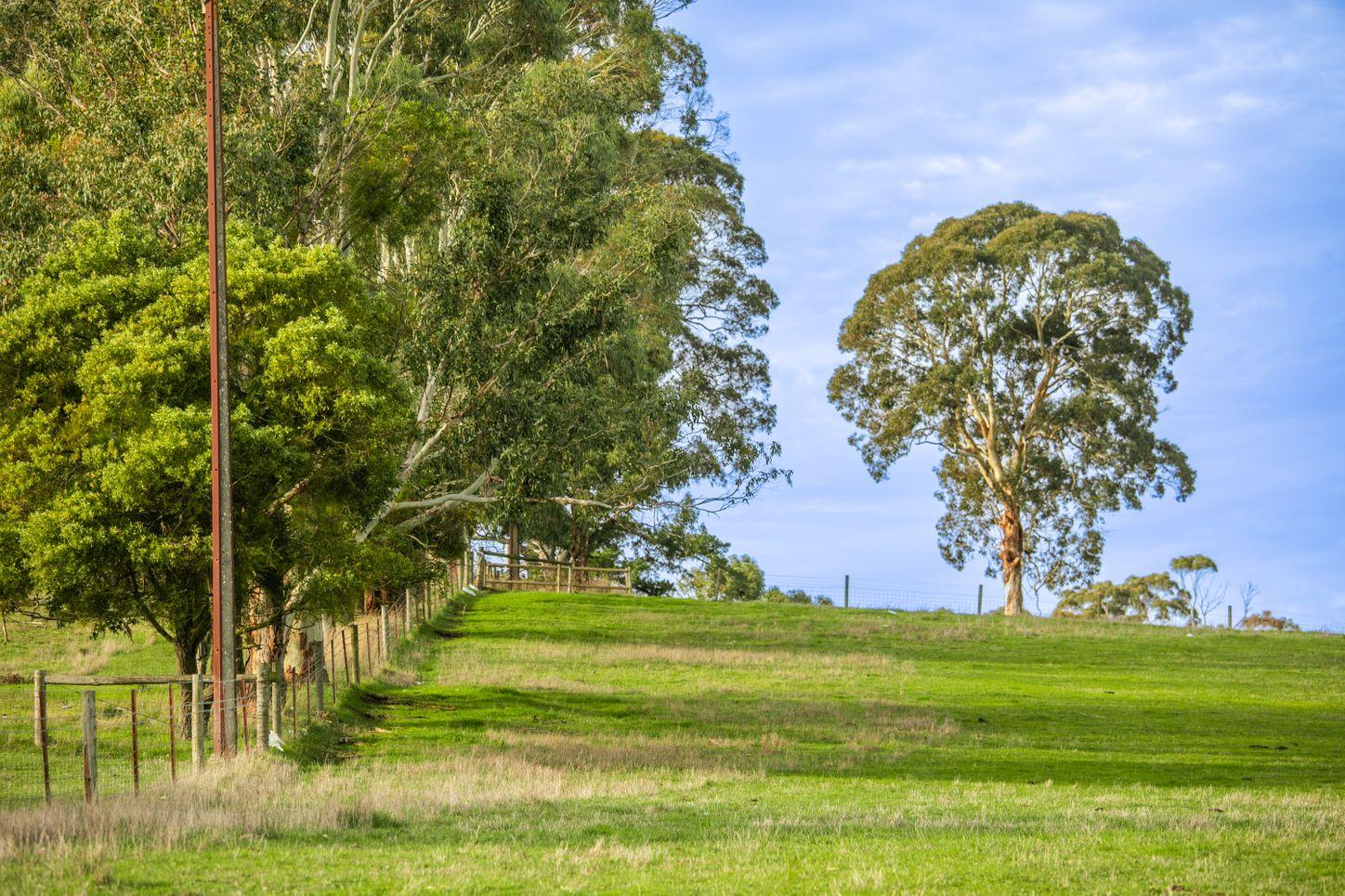 Land for Sale: Hahndorf, SA 5245, SA, 5245