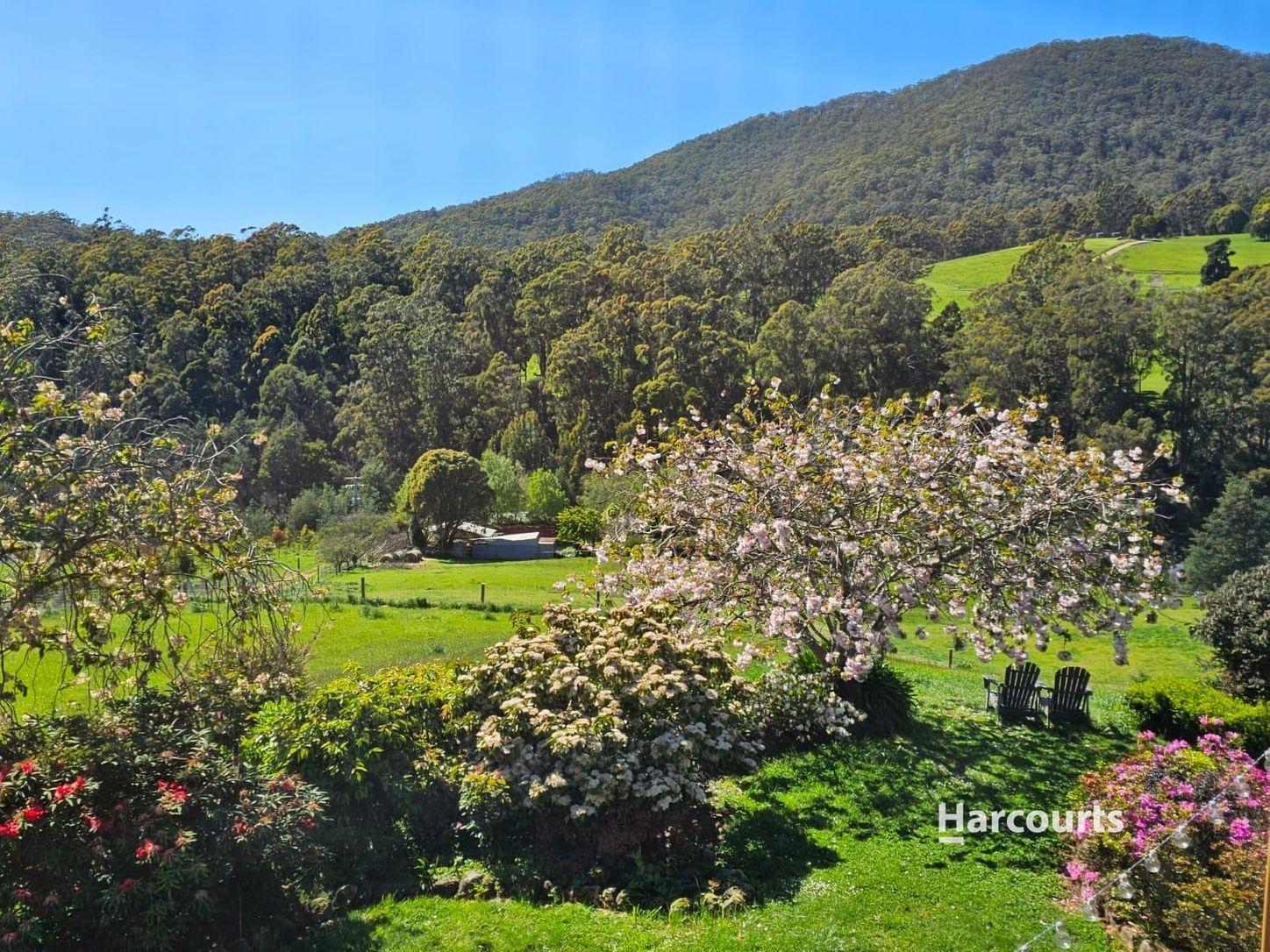 House for Sale: Penguin, TAS 7316, TAS, 7316