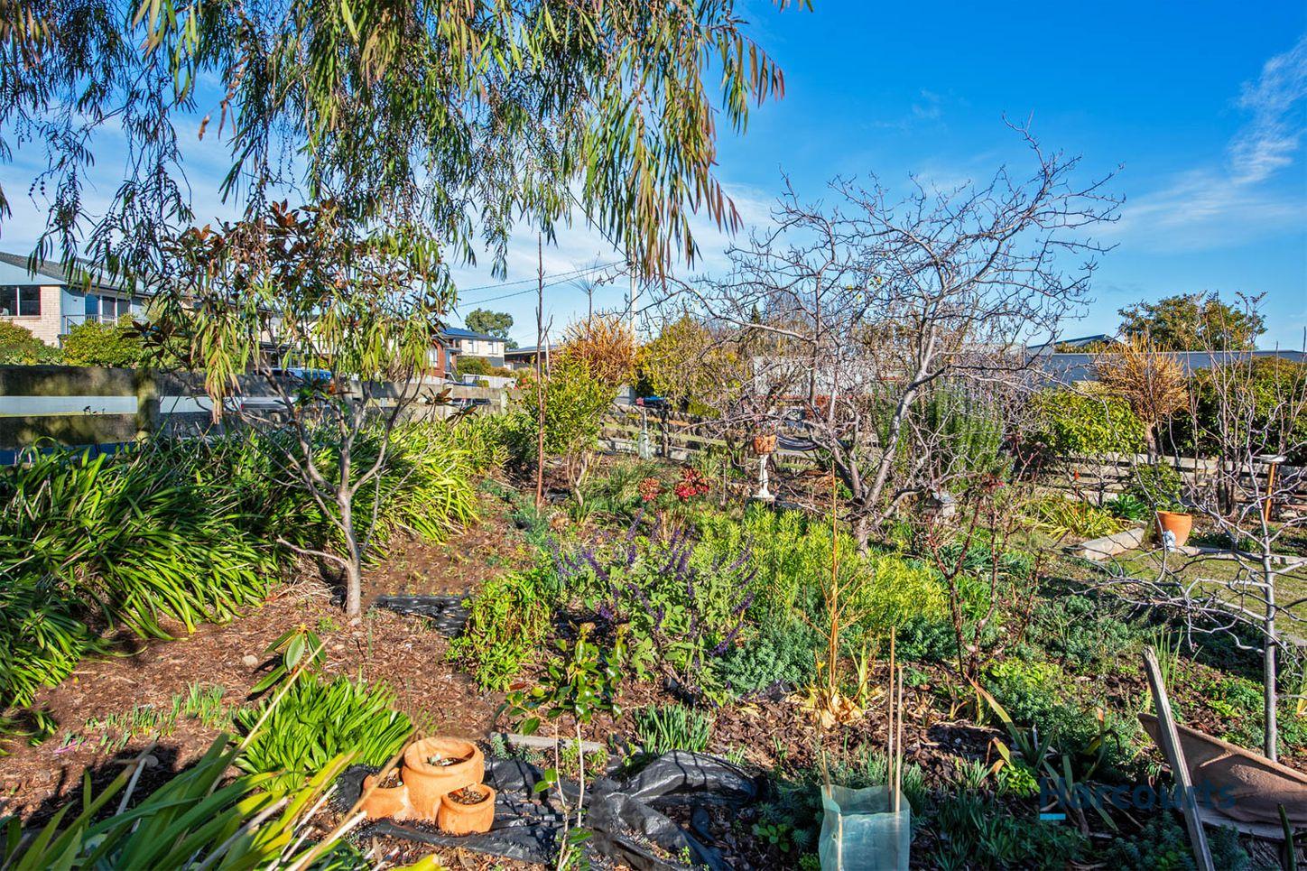Land for Sale: Devonport, TAS 7310, TAS, 7310