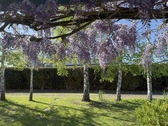 House for Sale: Westbury, TAS 7303, TAS, 7303