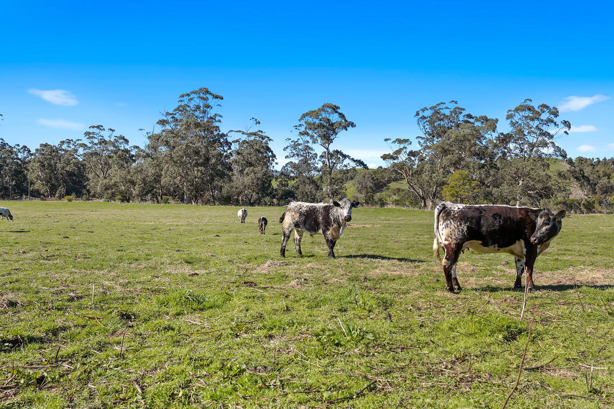 Other for Sale: Poowong North, VIC 3988, VIC, 3988