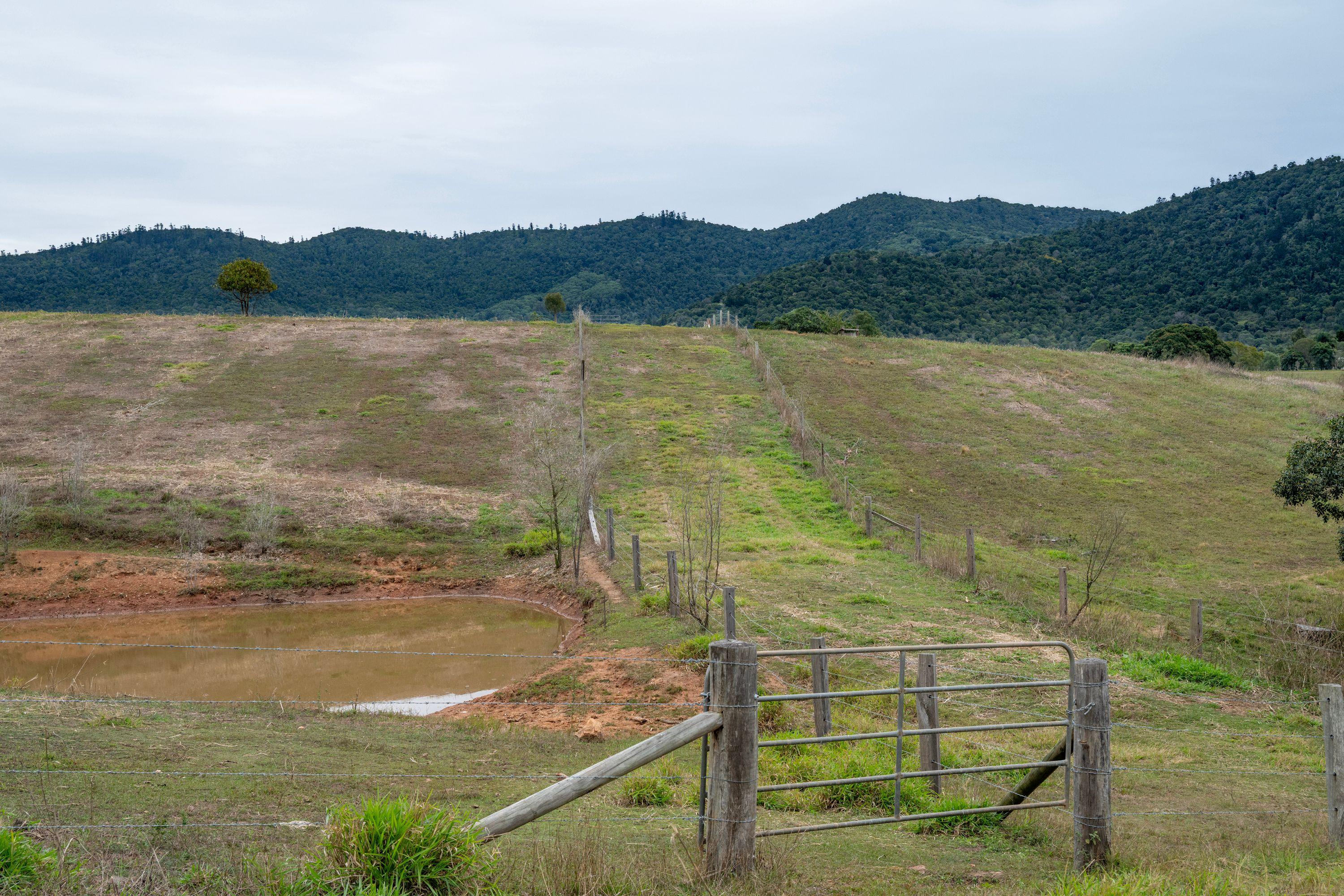 Lifestyle for Sale: Bauple, QLD 4650, QLD, 4650