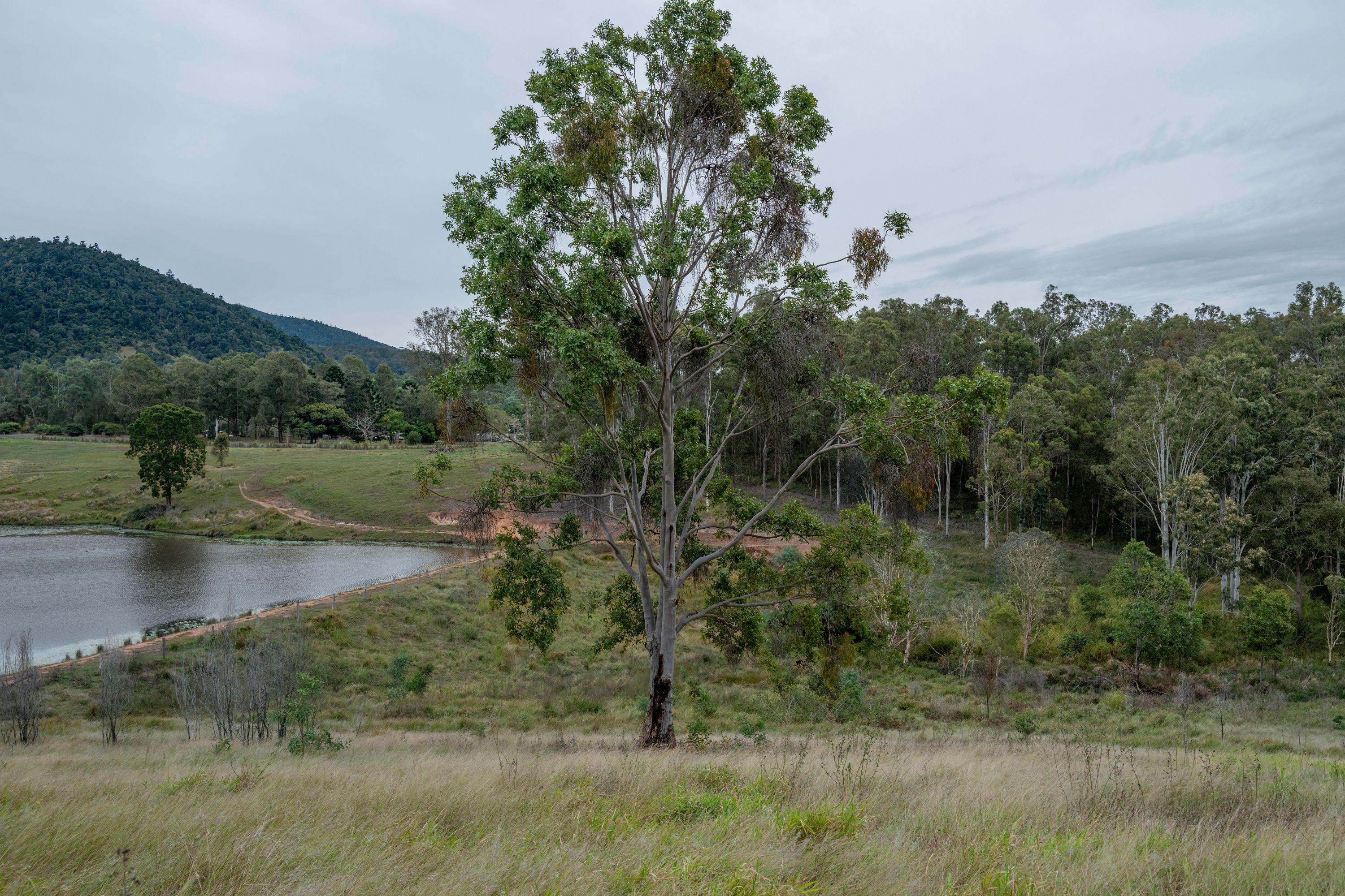 Lifestyle for Sale: Bauple, QLD 4650, QLD, 4650