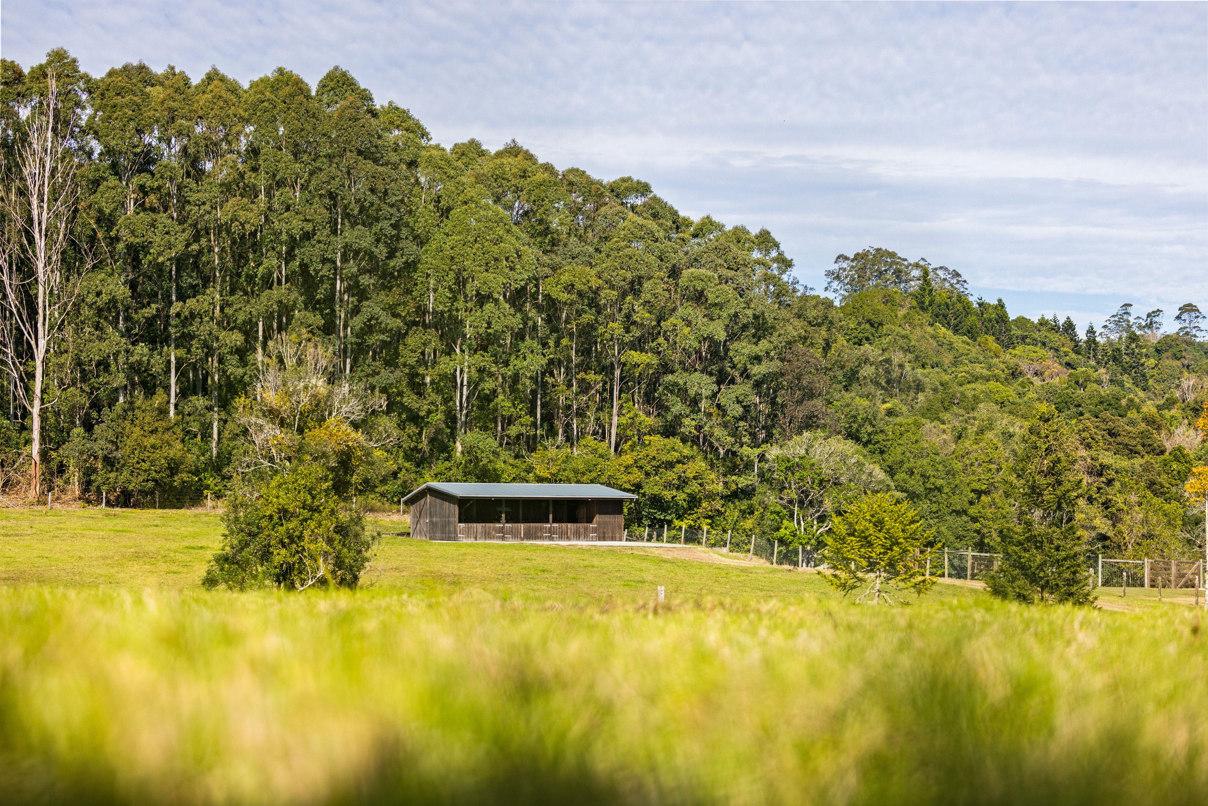 House for Sale: North Maleny, QLD 4552, QLD, 4552
