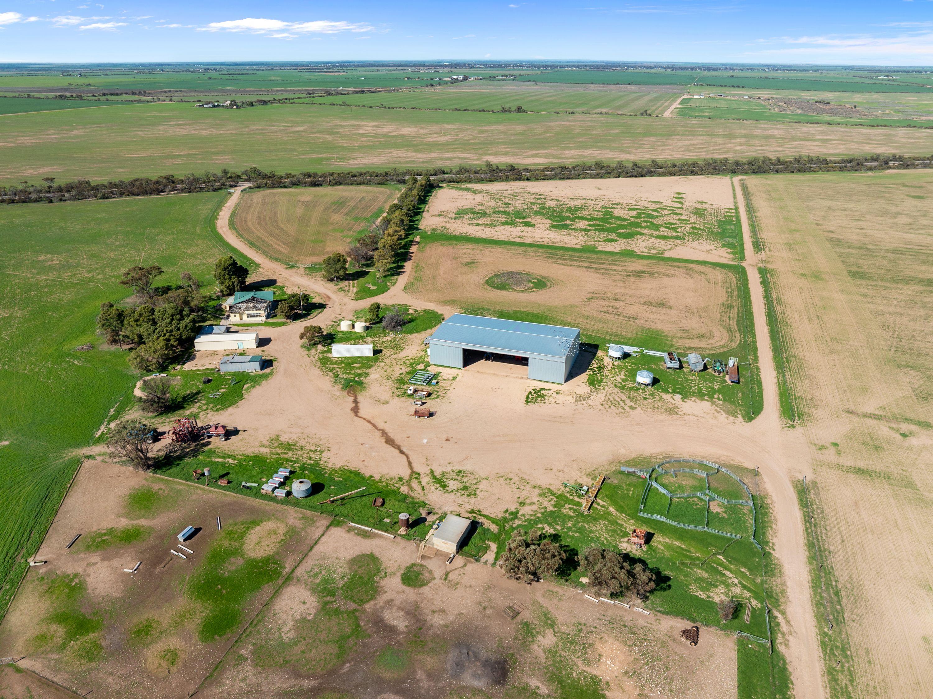 Cropping for Sale: Wallaroo Plain, SA 5556, SA, 5556