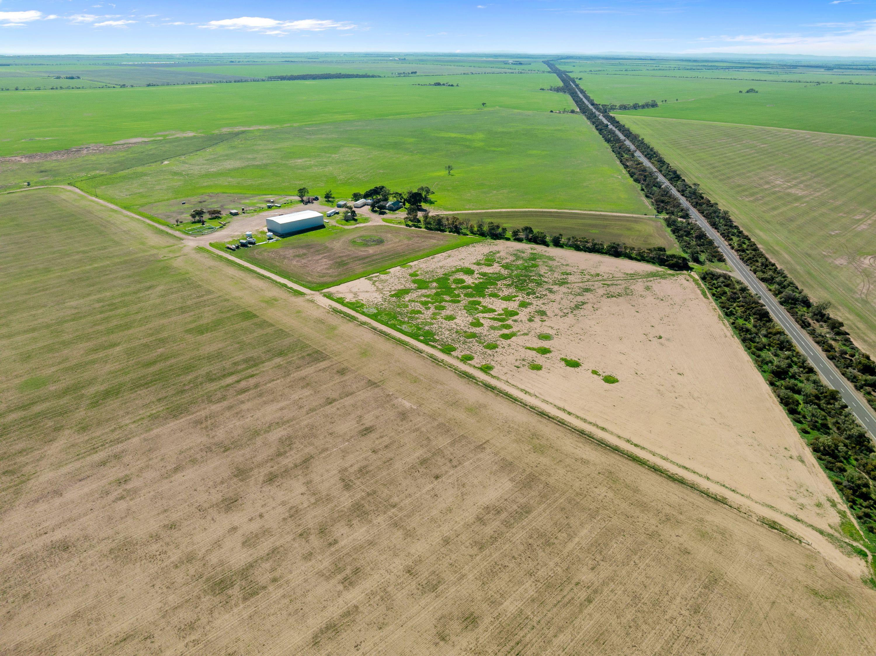 Cropping for Sale: Wallaroo Plain, SA 5556, SA, 5556