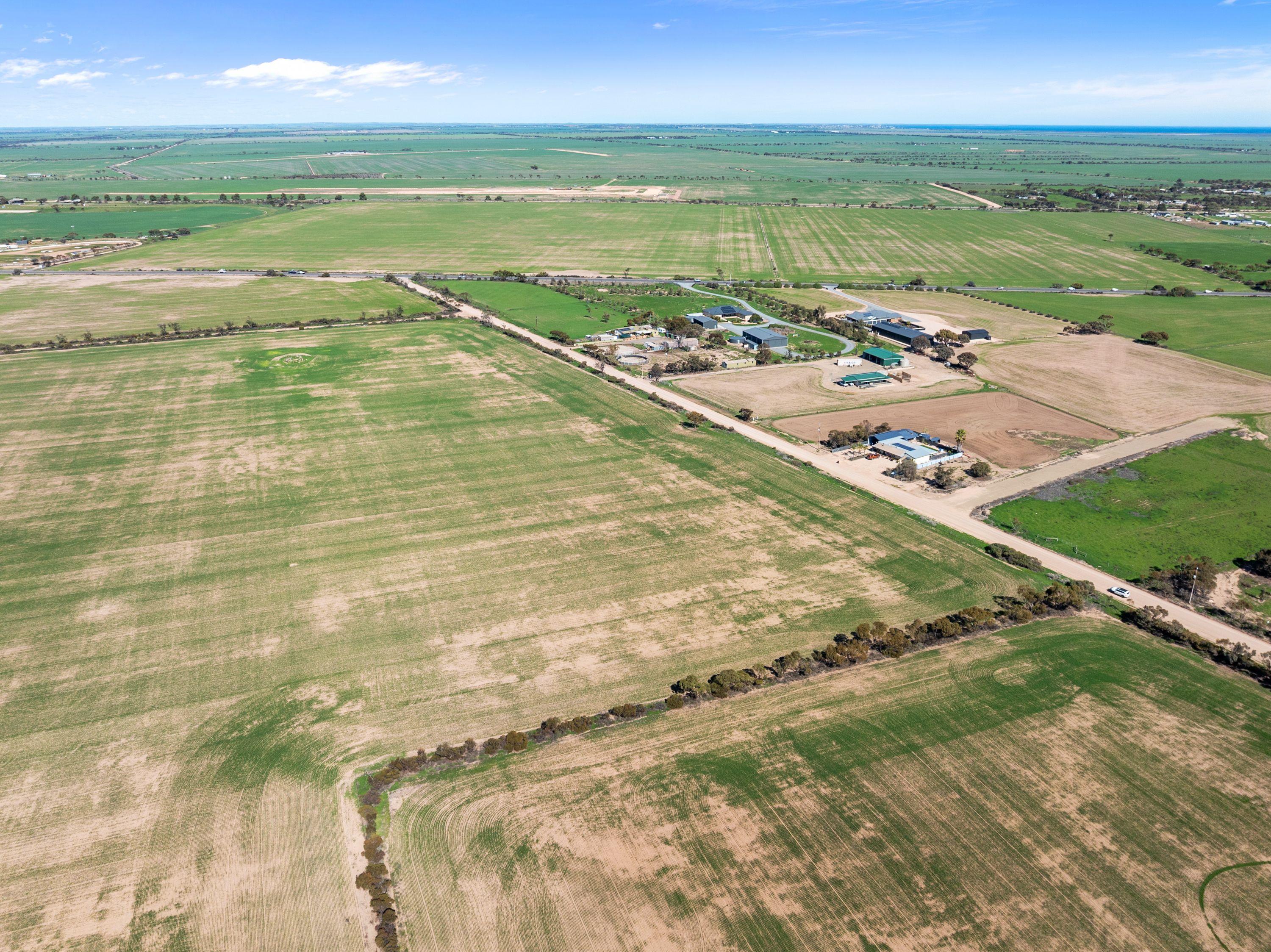 Cropping for Sale: Wallaroo, SA 5556, SA, 5556
