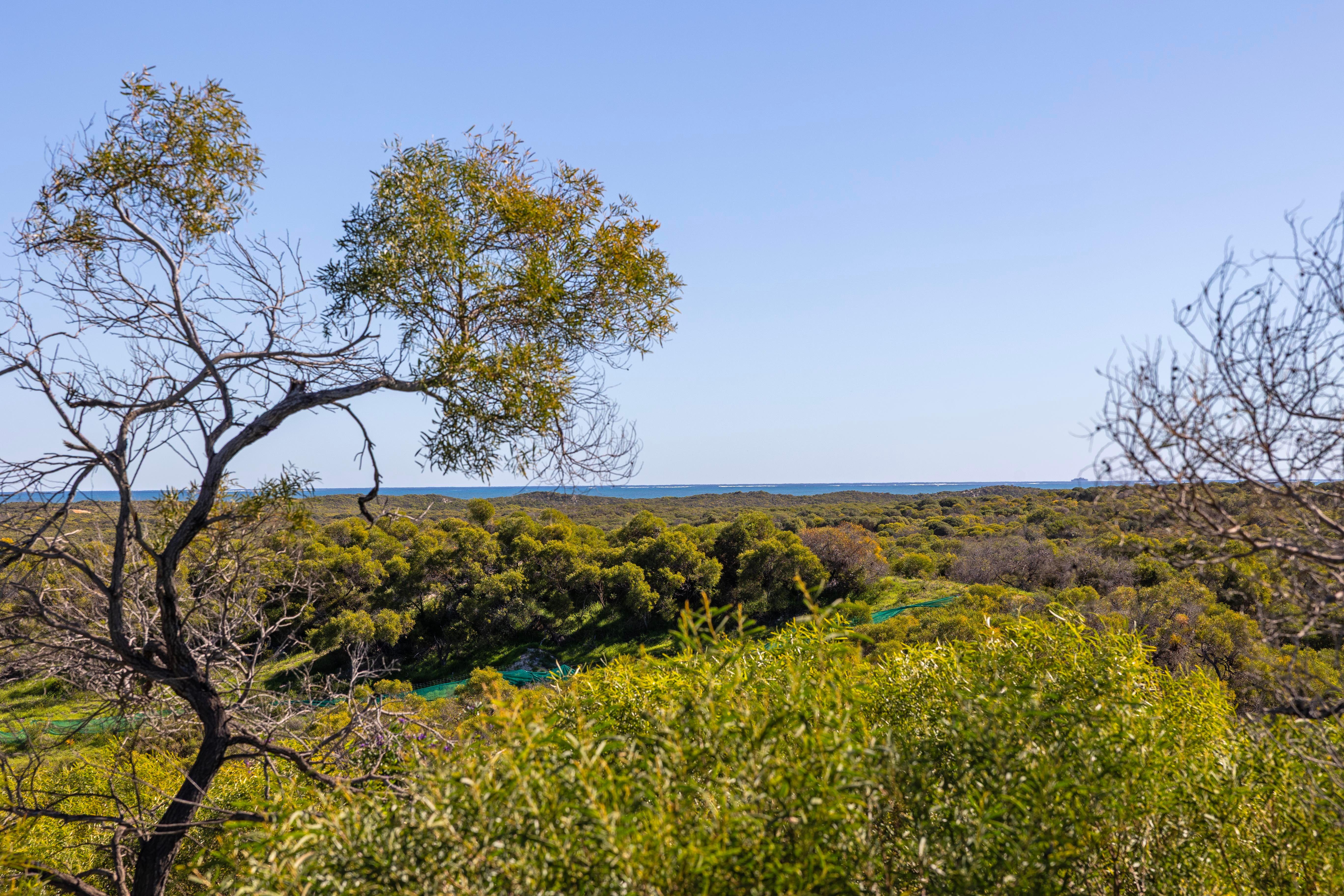 Land for Sale: Jurien Bay, WA 6516, WA, 6516