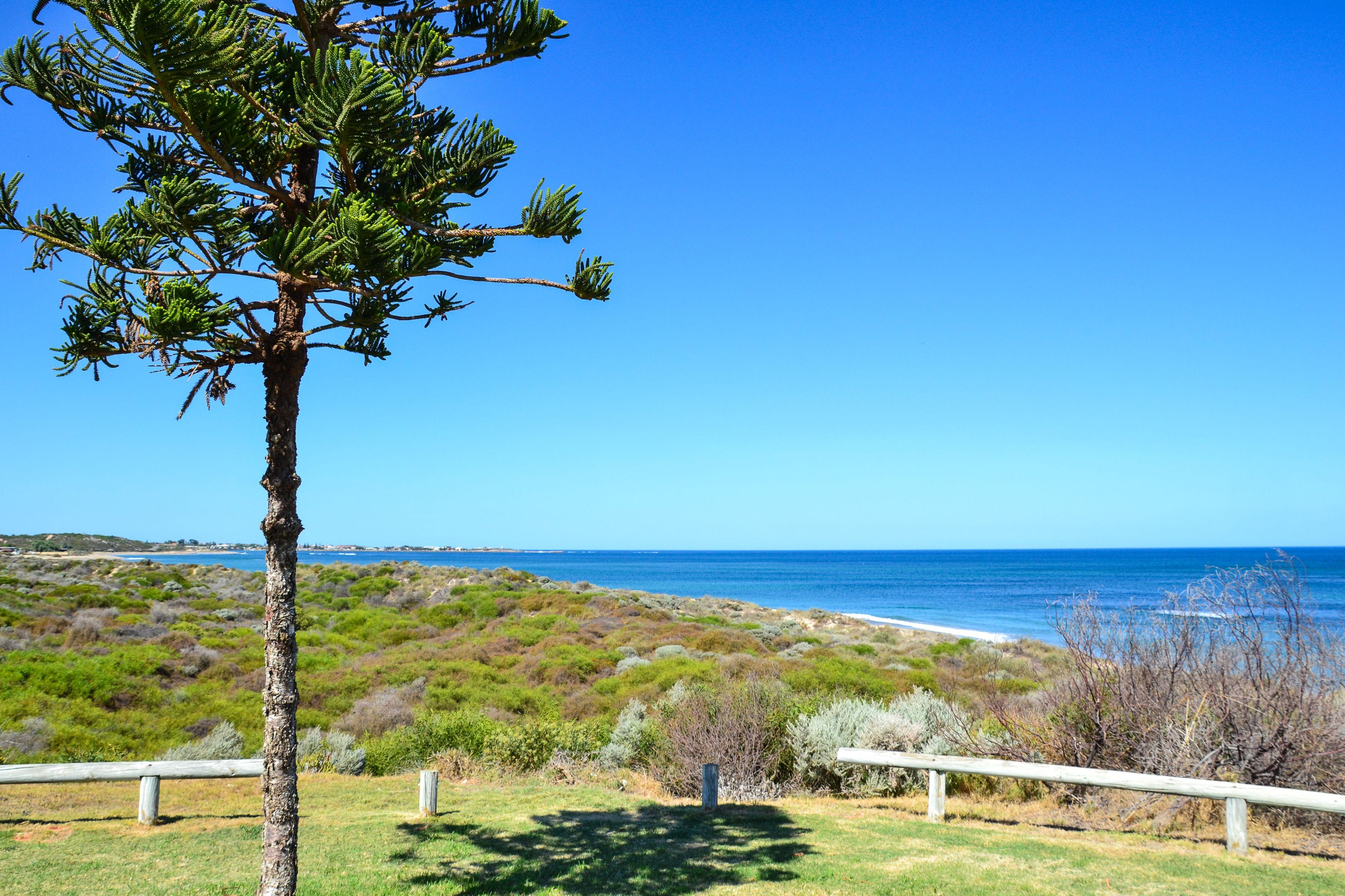 House for Sale: Dongara, WA 6525, WA, 6525