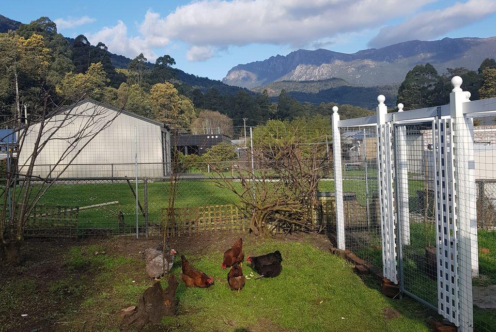 House for Sale: Rosebery, TAS 7470, TAS, 7470