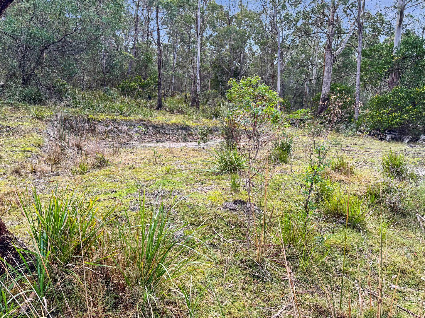 Land for Sale: Ansons Bay, TAS 7264, TAS, 7264