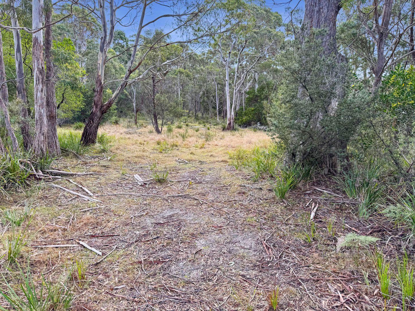 Land for Sale: Ansons Bay, TAS 7264, TAS, 7264