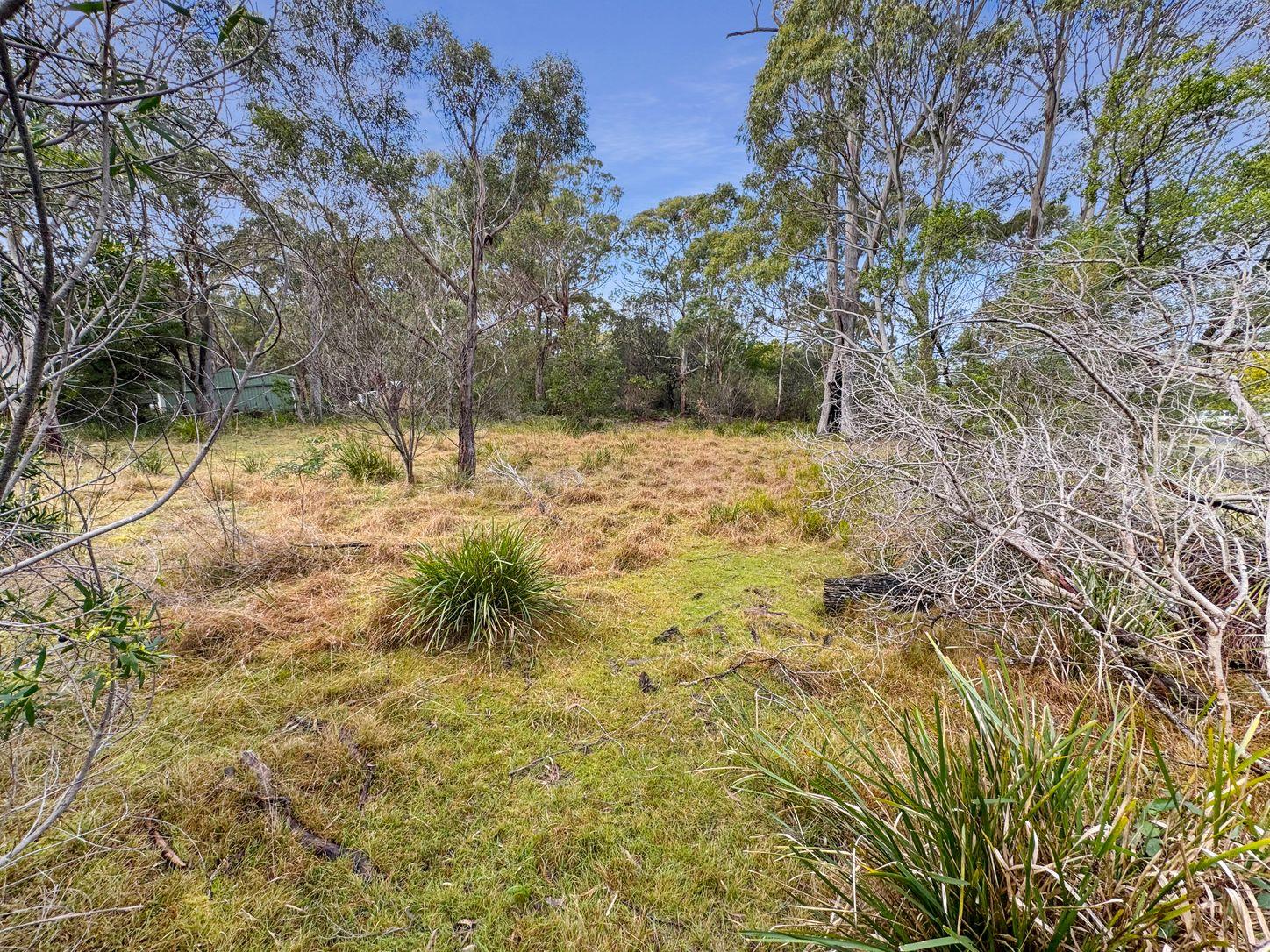 Land for Sale: Ansons Bay, TAS 7264, TAS, 7264
