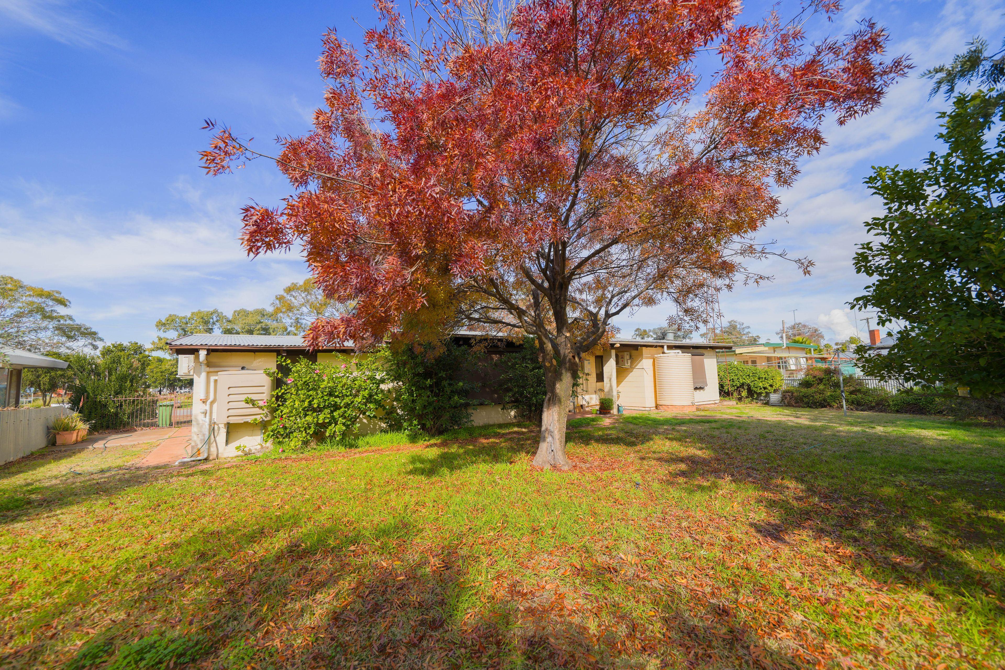 House for Sale: West Wyalong, NSW 2671, NSW, 2671