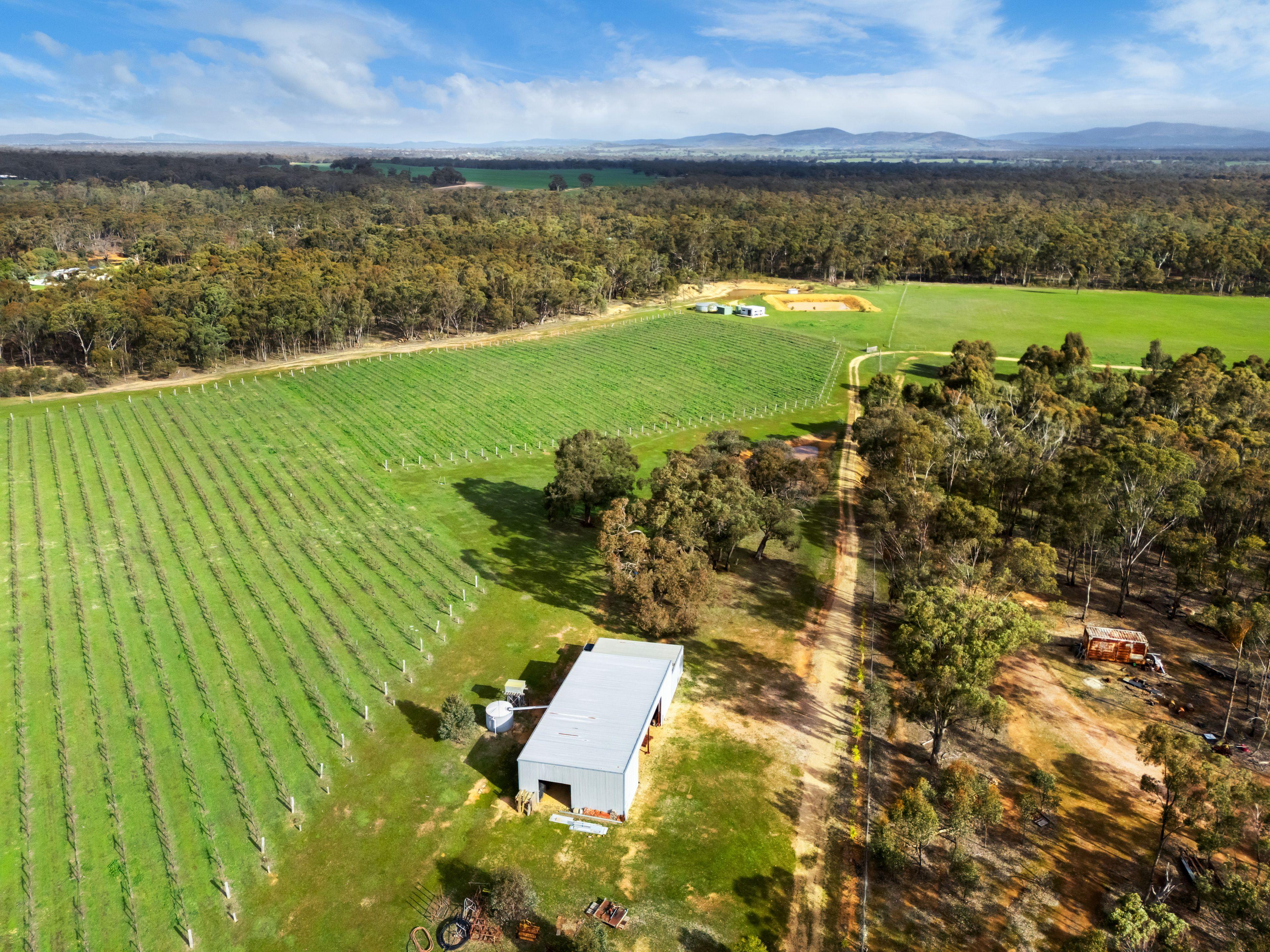 Prop-GPT: Land: VIC Avoca, VIC 3467 Home For Sale