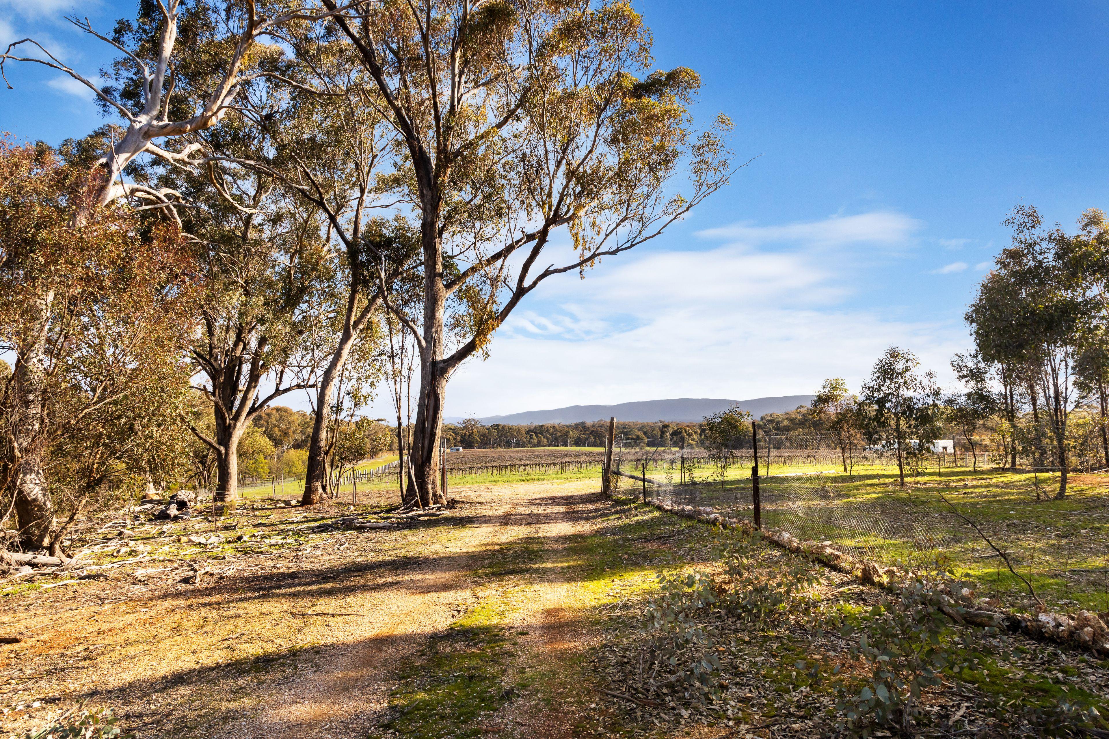 Land for Sale: Avoca, VIC 3467, VIC, 3467