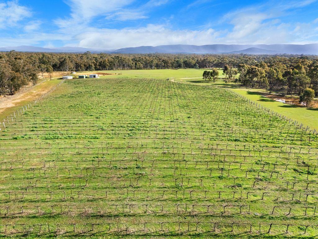 Land for Sale: Avoca, VIC 3467, VIC, 3467
