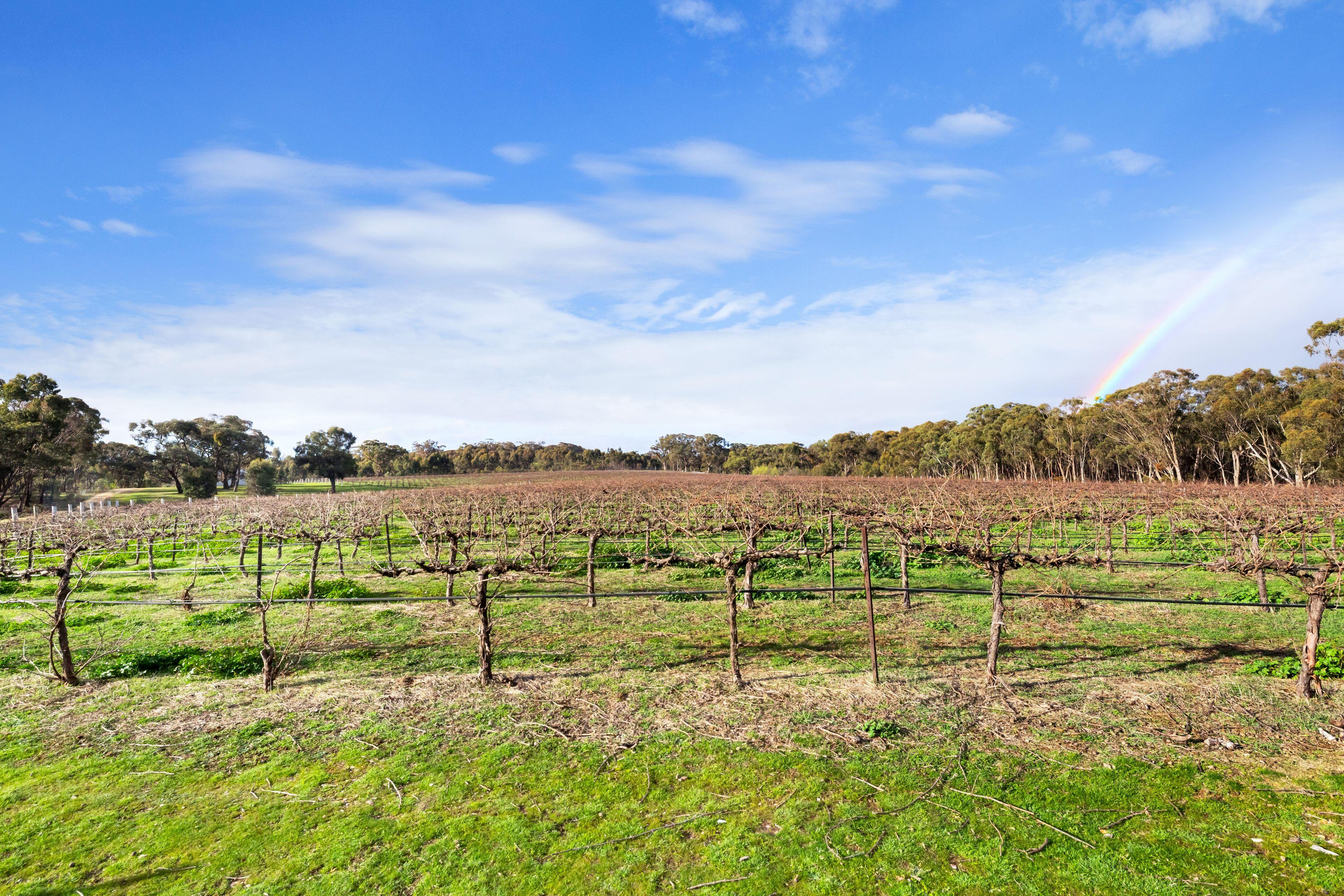 Land for Sale: Avoca, VIC 3467, VIC, 3467
