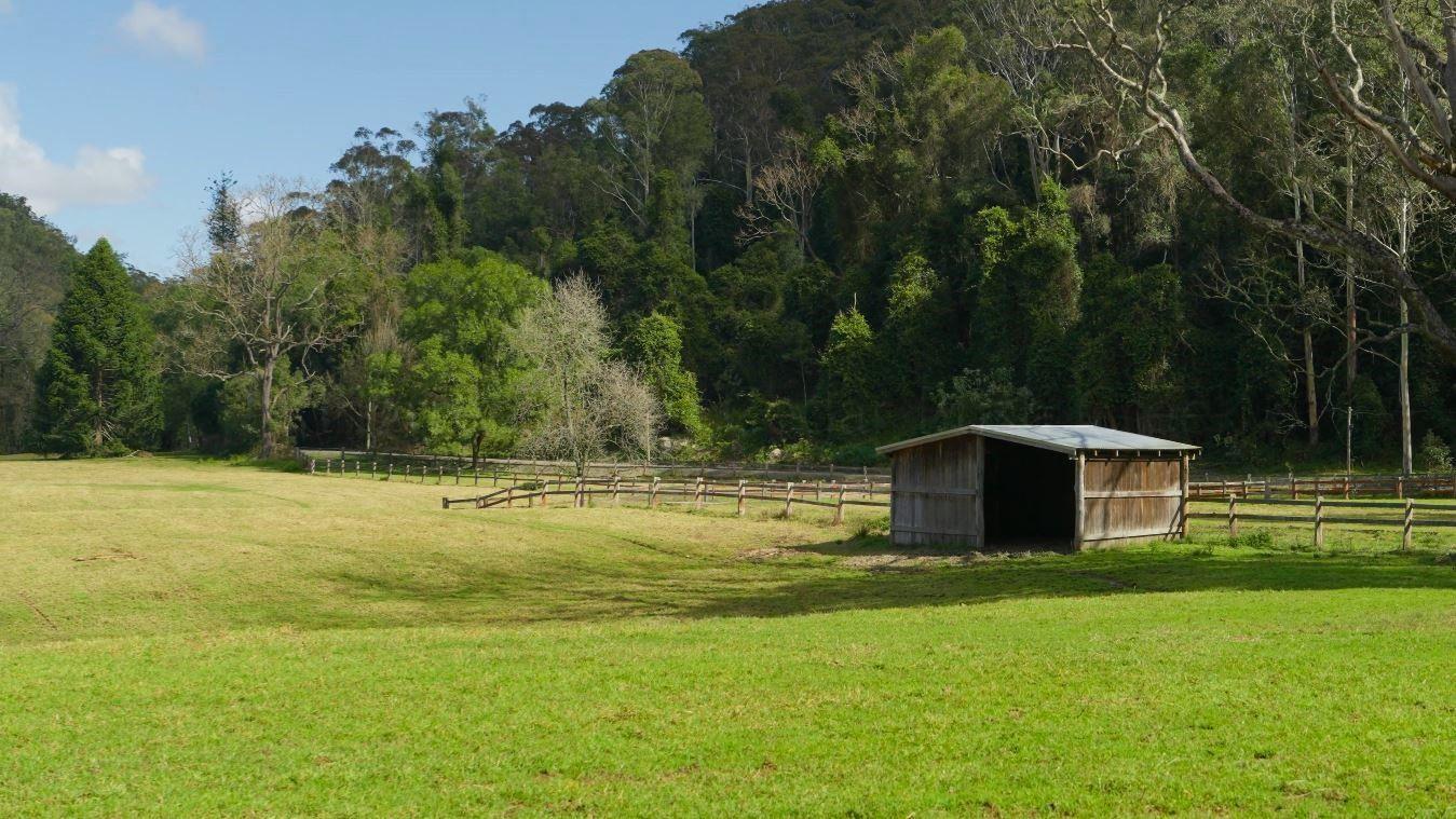 Acreage/Semi-Rural for Sale: Cedar Brush Creek, NSW 2259, NSW, 2259