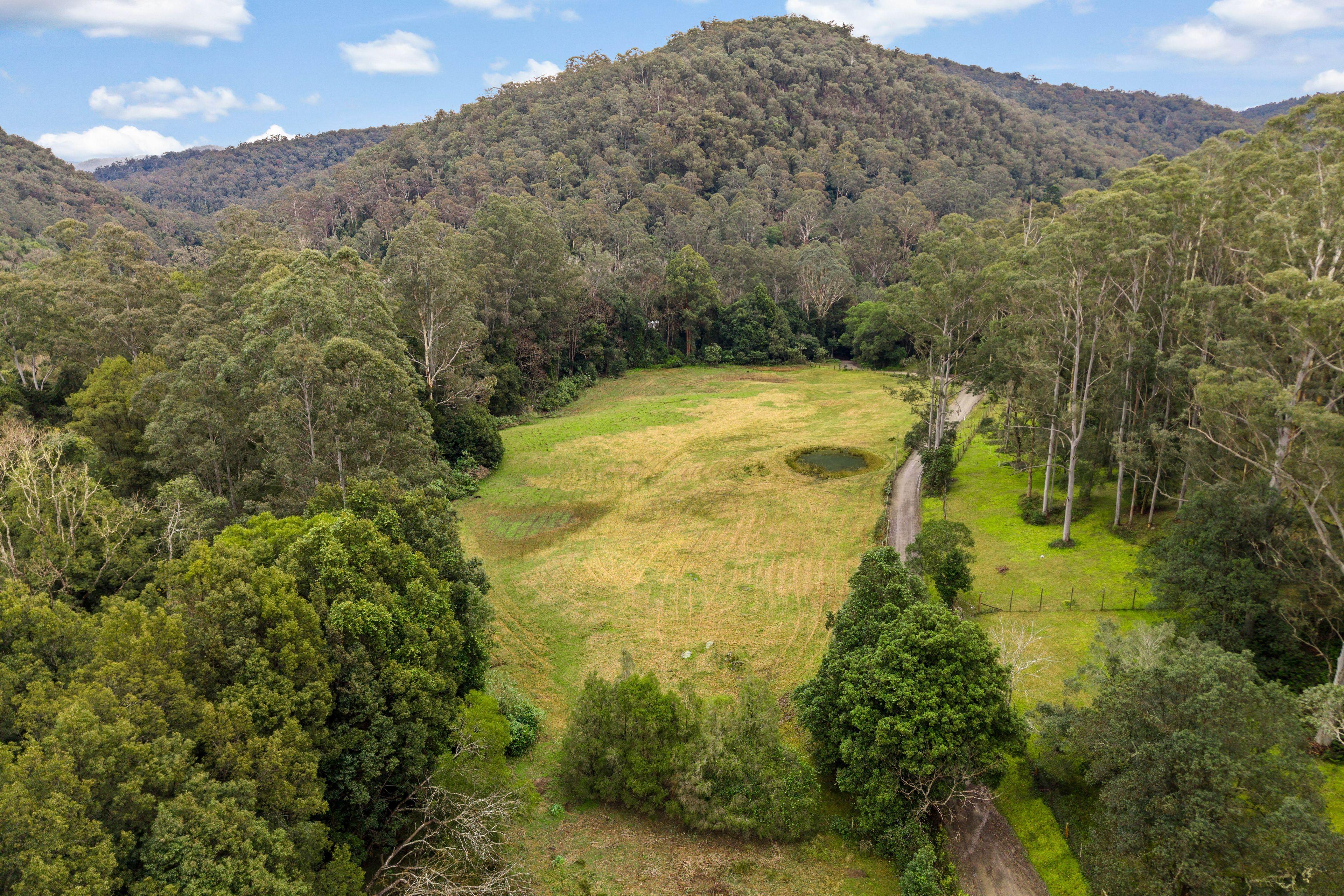 Acreage/Semi-Rural for Sale: Cedar Brush Creek, NSW 2259, NSW, 2259