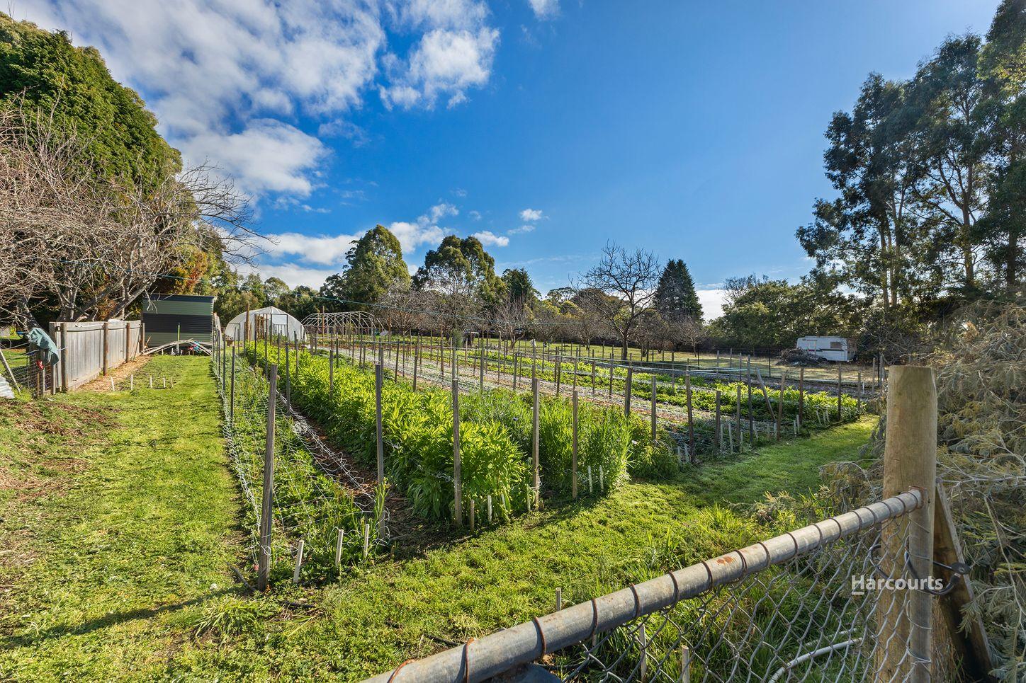 Land for Sale: Penguin, TAS 7316, TAS, 7316