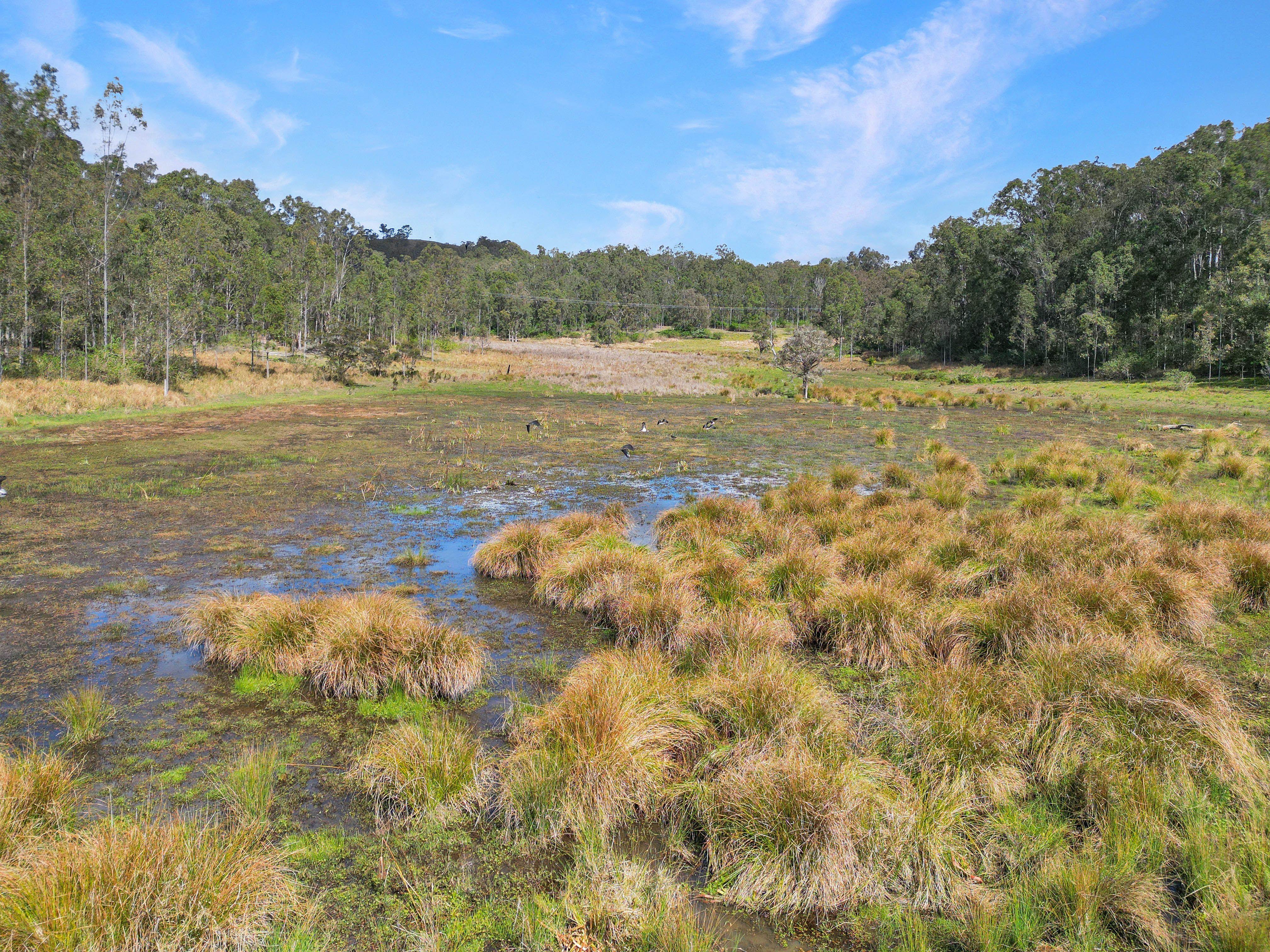 Acreage/Semi-Rural for Sale: Piora, NSW 2470, NSW, 2470