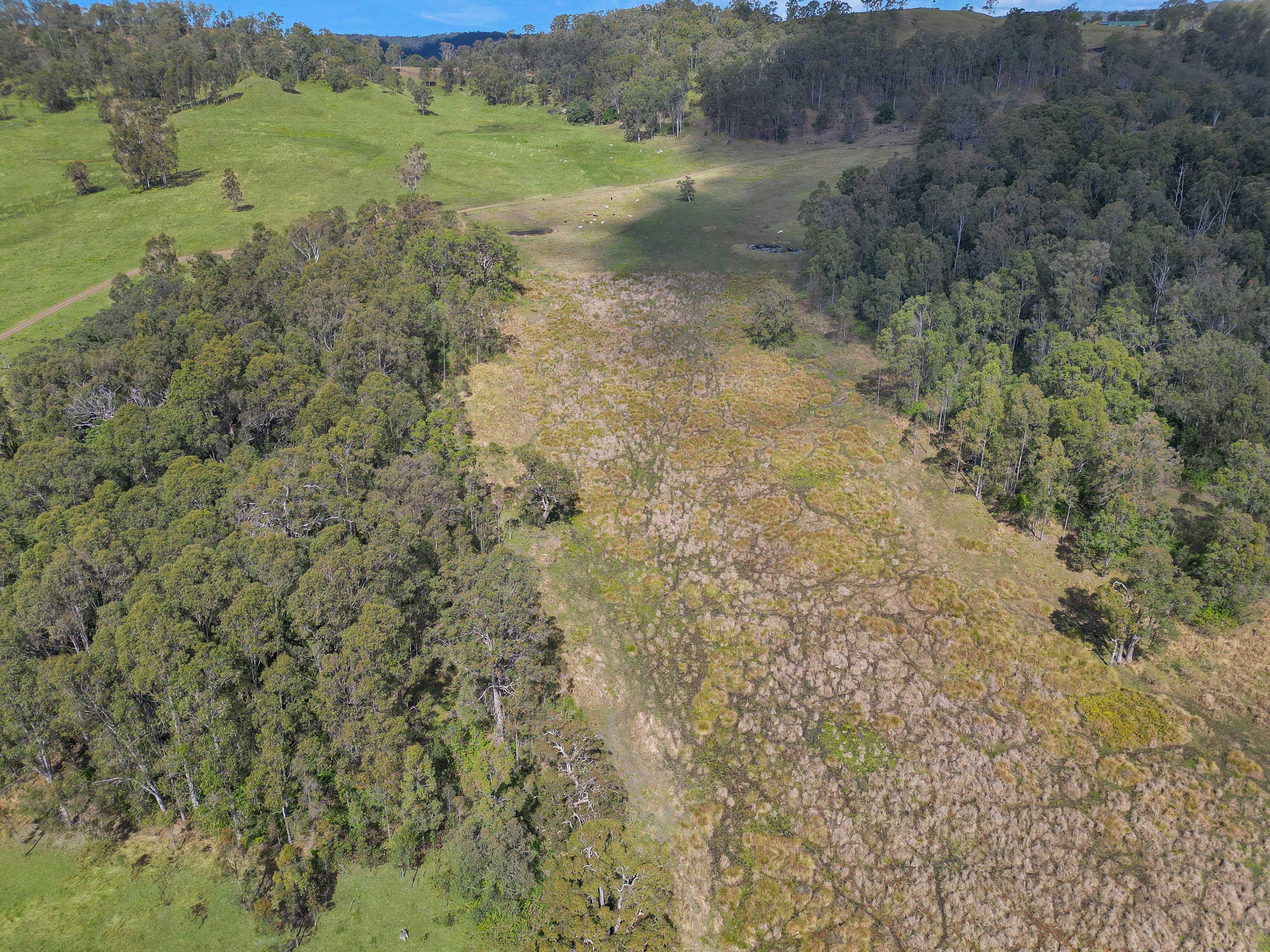Acreage/Semi-Rural for Sale: Piora, NSW 2470, NSW, 2470