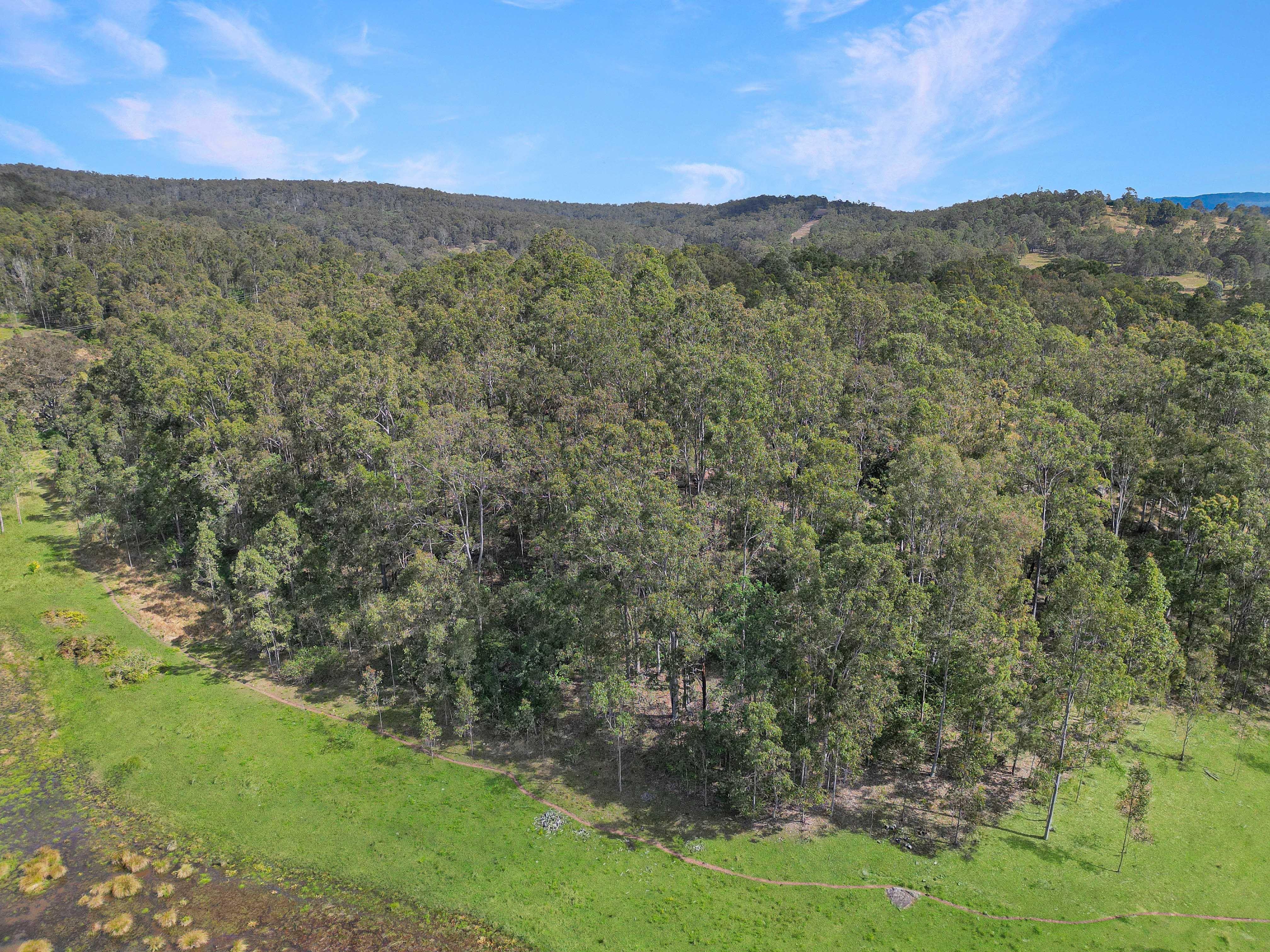 Acreage/Semi-Rural for Sale: Piora, NSW 2470, NSW, 2470