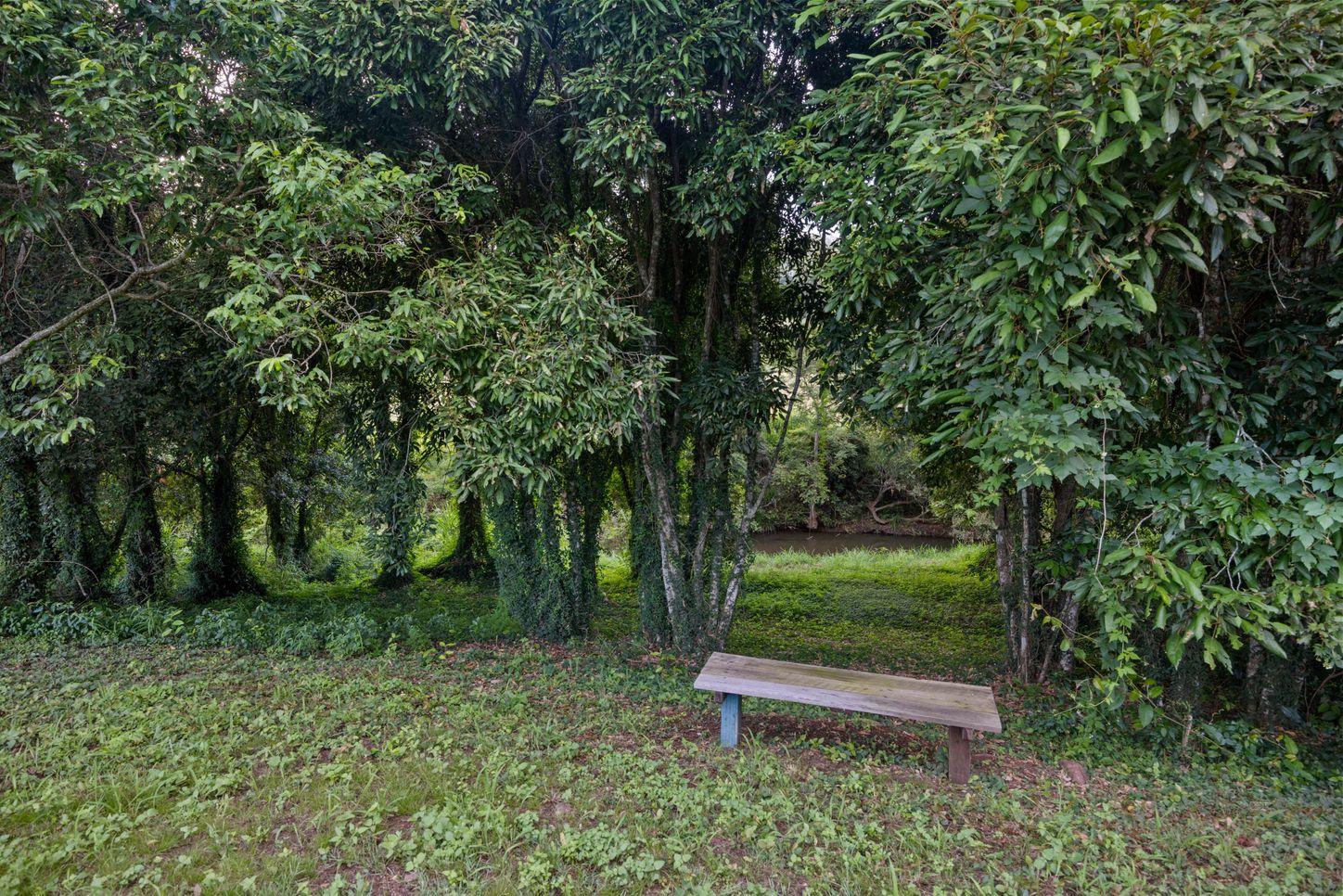 Property for Sale: Pie Creek, QLD 4570, QLD, 4570