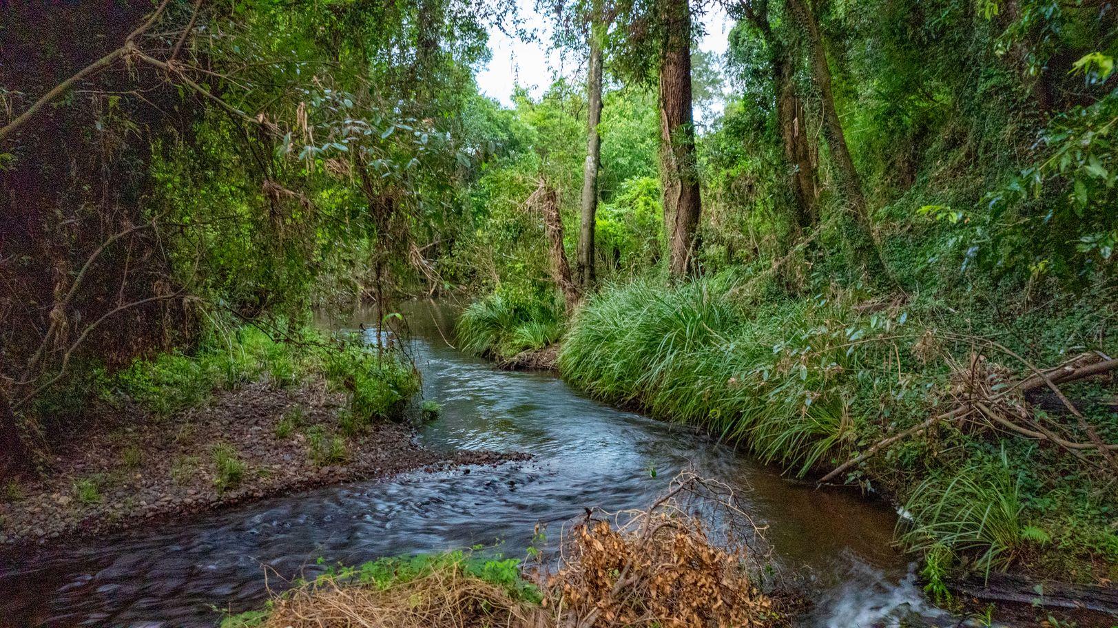 Property for Sale: Pie Creek, QLD 4570, QLD, 4570