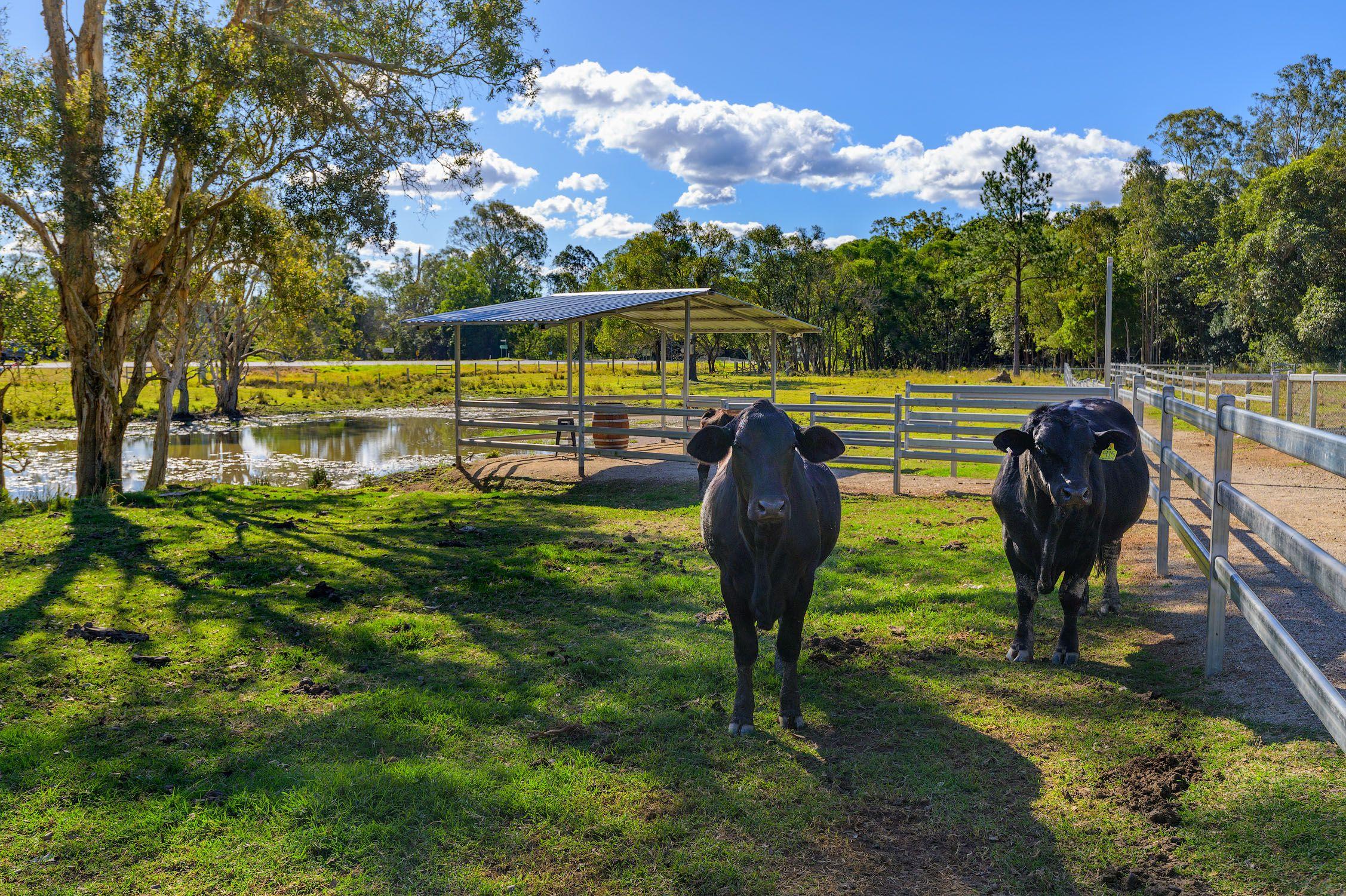 Lifestyle for Sale: Goomboorian, QLD 4570, QLD, 4570