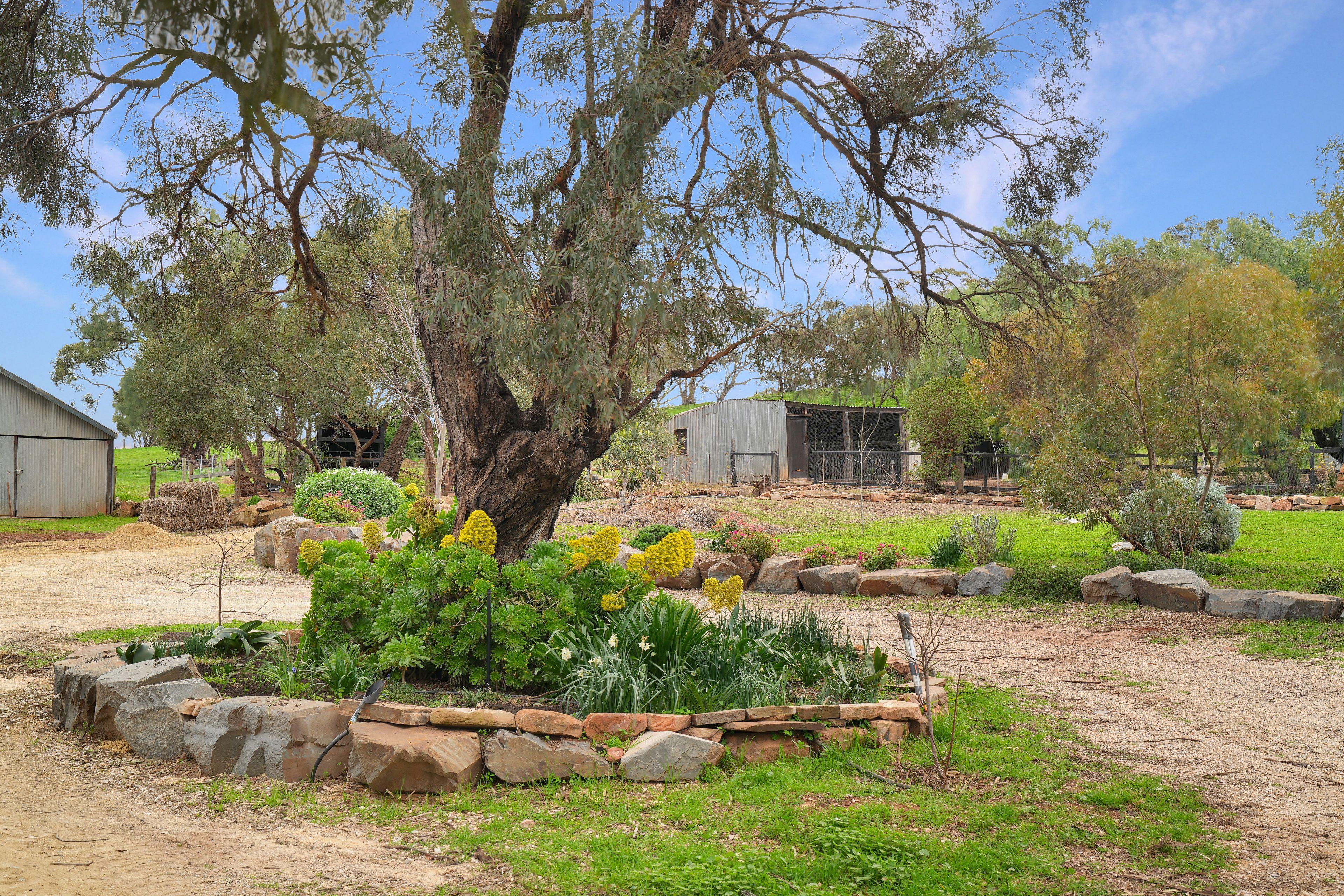 Other for Sale: Bethel, SA 5373, SA, 5373