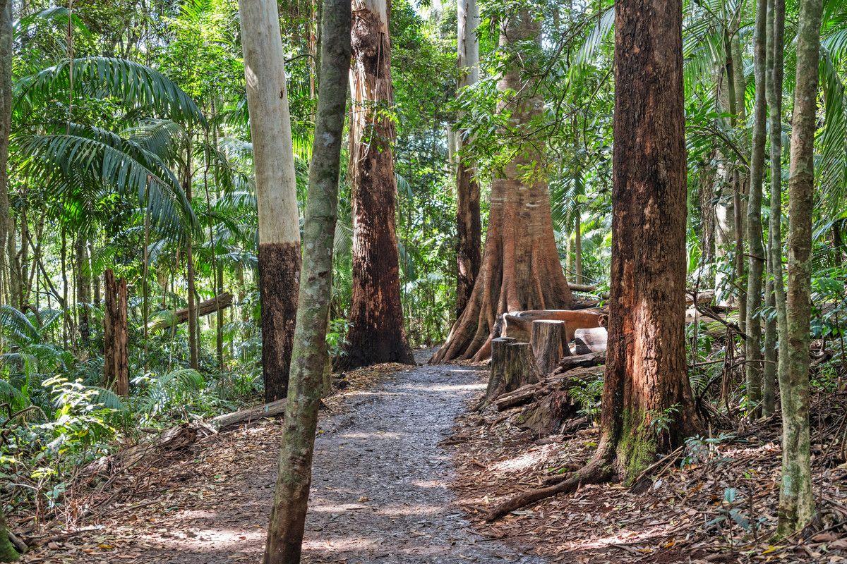 Property for Sale: Tamborine Mountain, QLD 4272, QLD, 4272