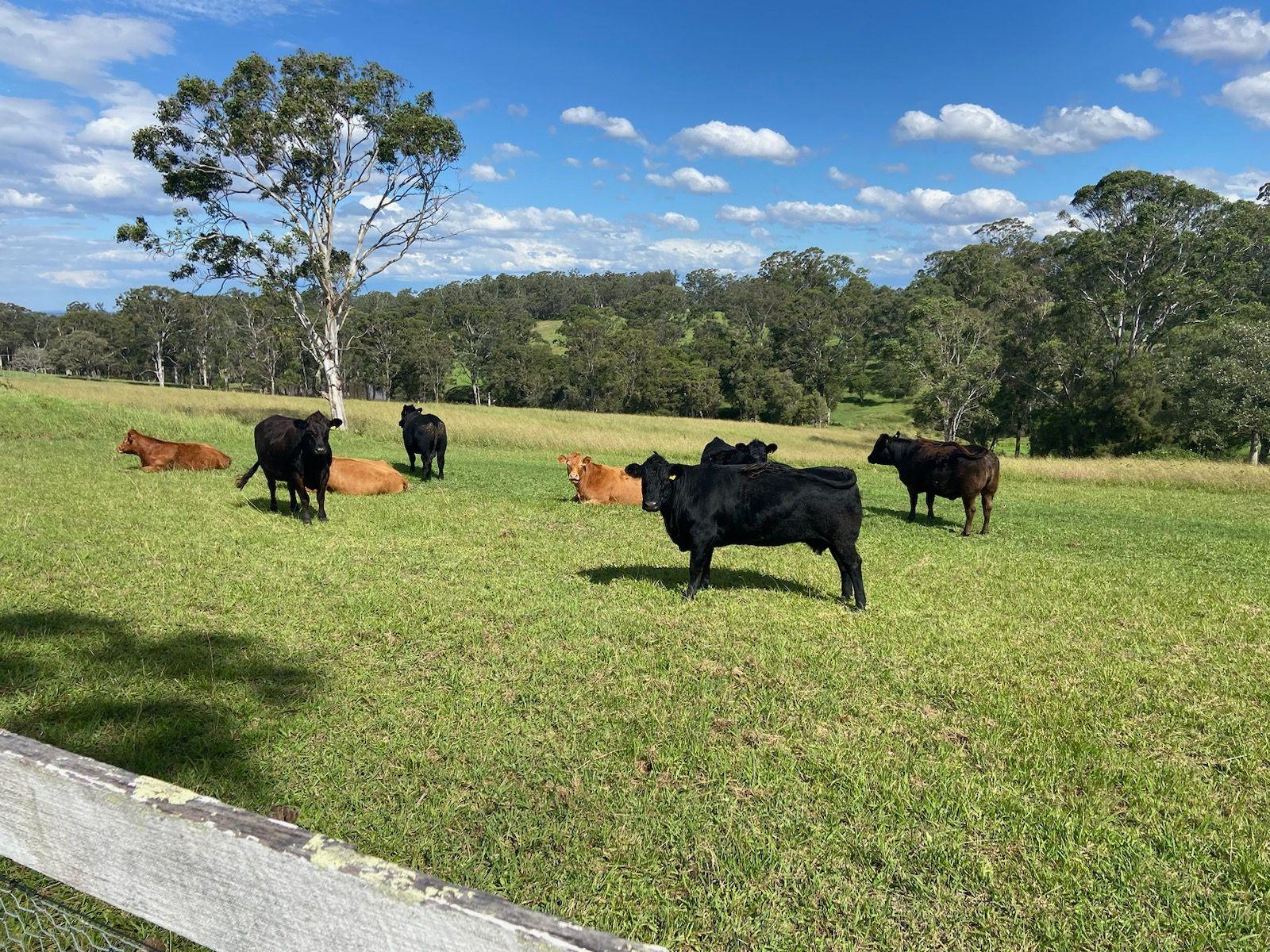 Acreage/Semi-Rural for Sale: Kurmond, NSW 2757, NSW, 2757