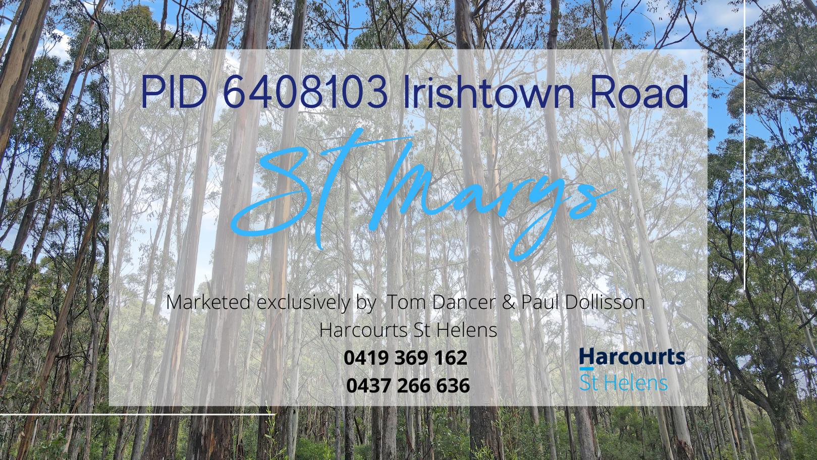 Land for Sale: St Marys, TAS 7215, TAS, 7215