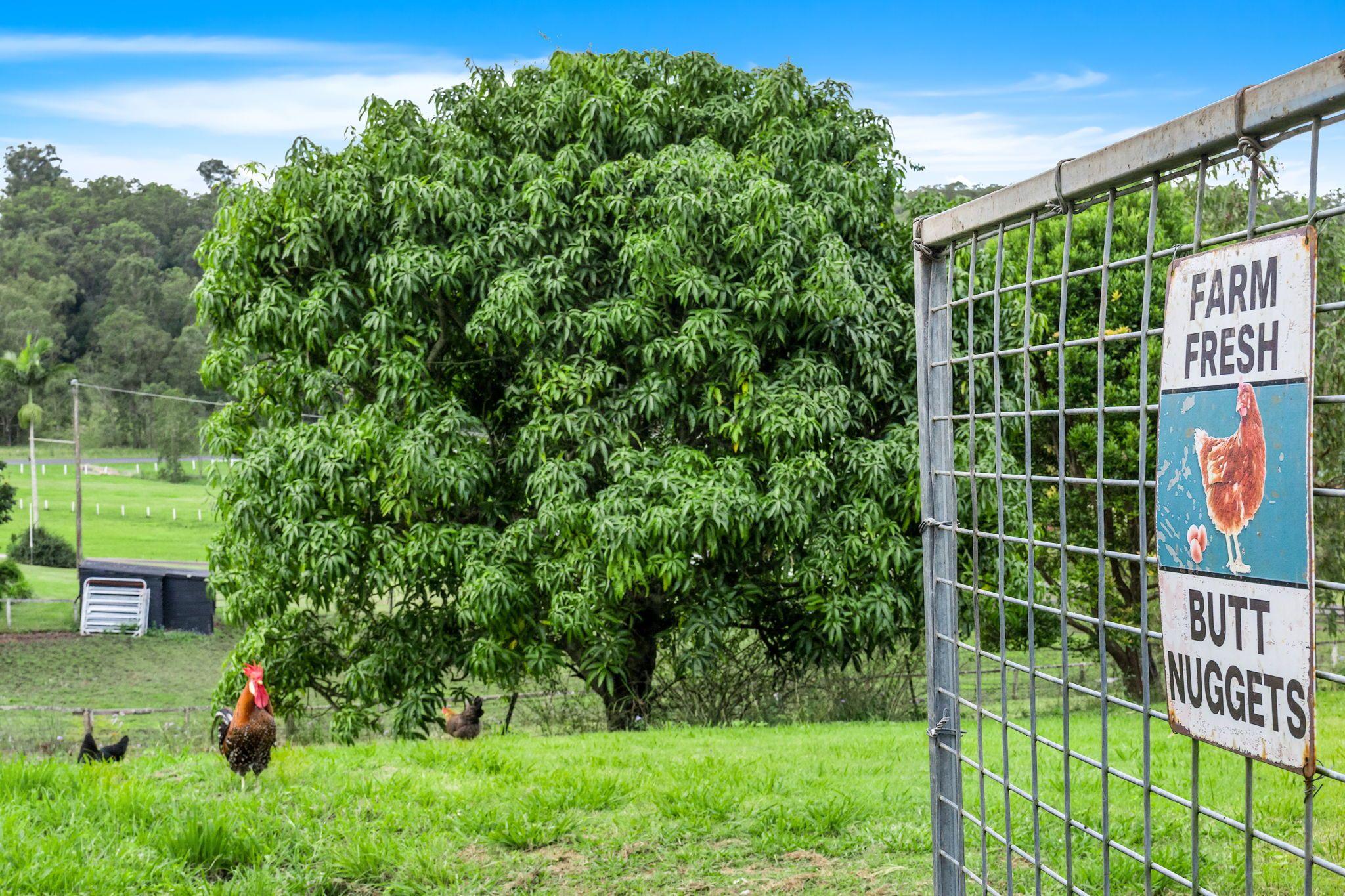 Acreage/Semi-Rural for Sale: Geneva, NSW 2474, NSW, 2474
