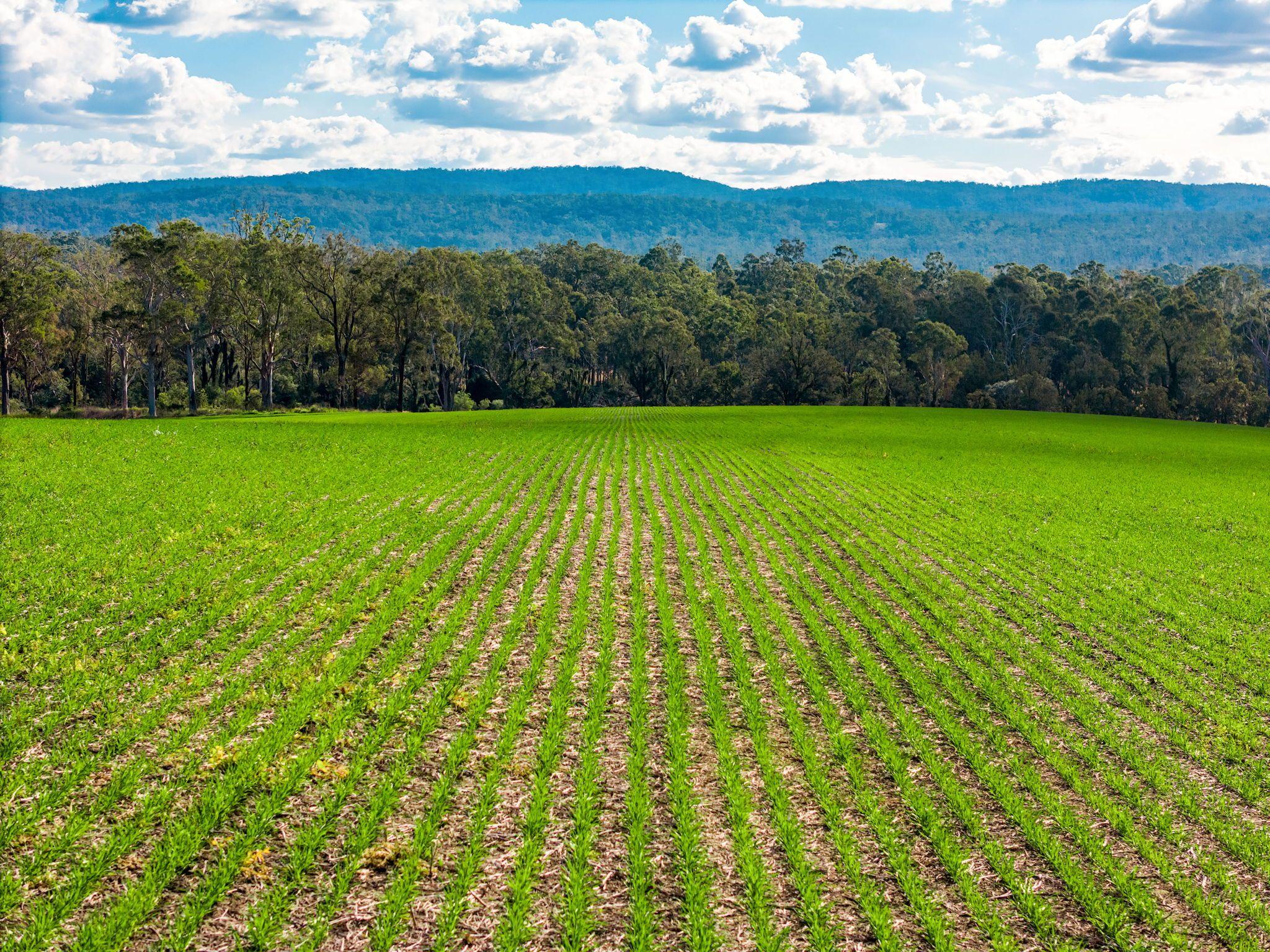 Prop-GPT: Acreage/Semi-Rural: NSW Tabulam, NSW 2469 Home For Sale
