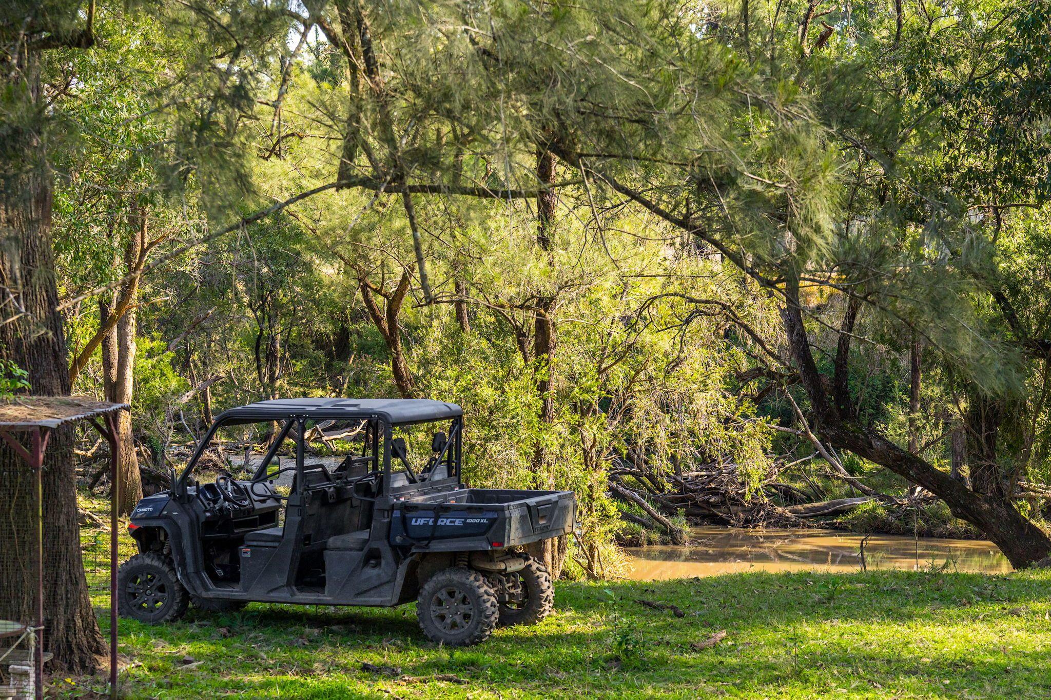 Acreage/Semi-Rural for Sale: Tabulam, NSW 2469, NSW, 2469