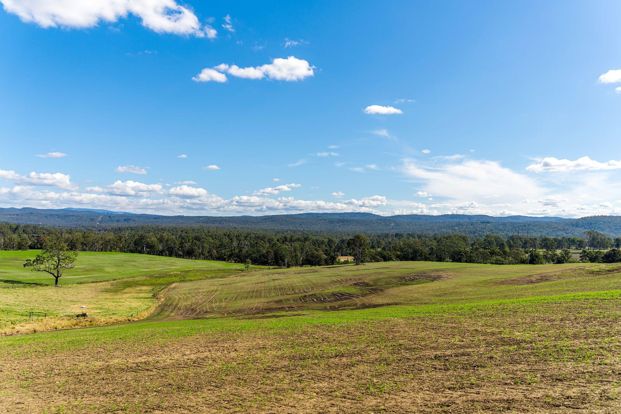 Acreage/Semi-Rural for Sale: Tabulam, NSW 2469, NSW, 2469