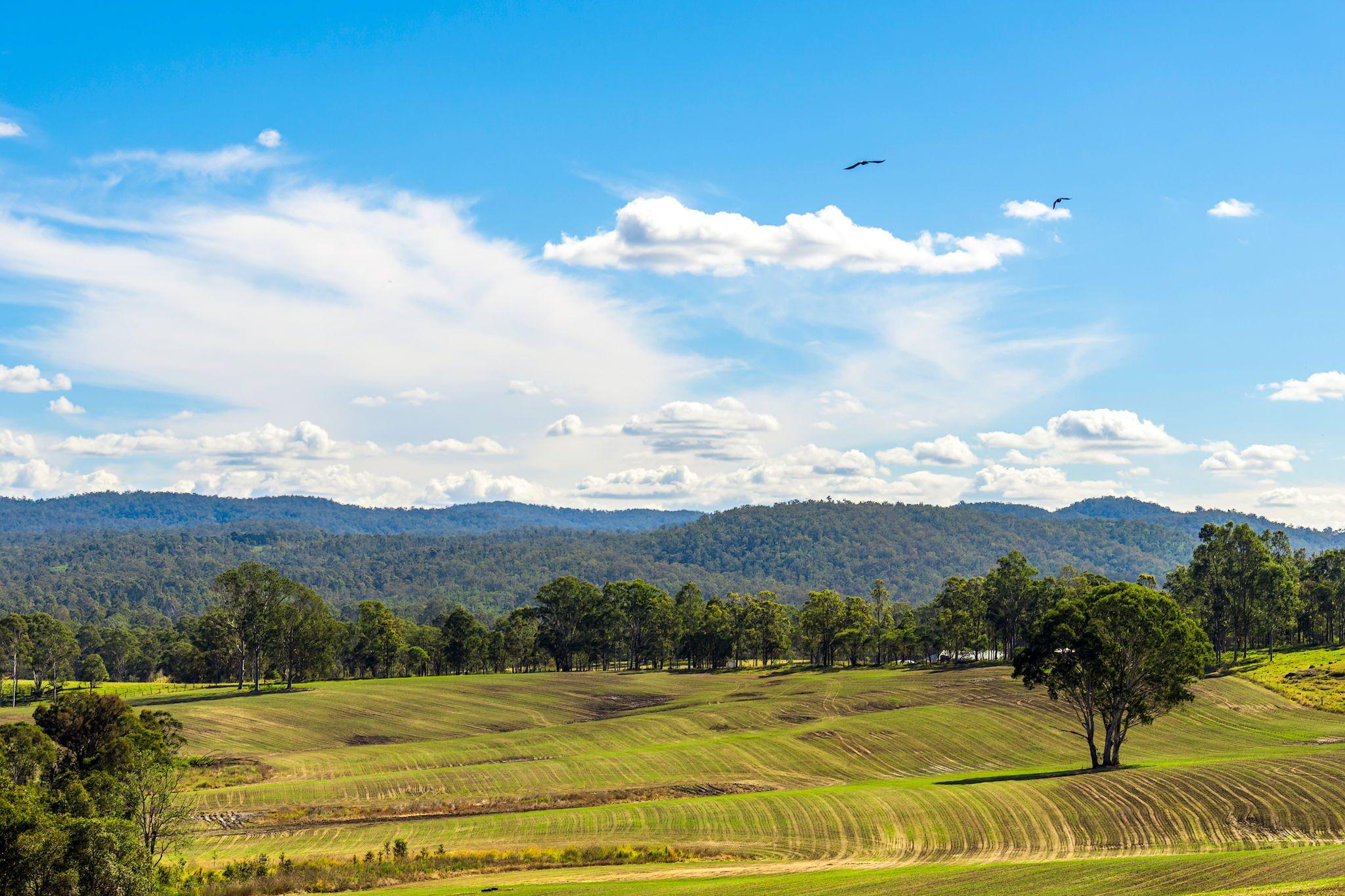 Acreage/Semi-Rural for Sale: Tabulam, NSW 2469, NSW, 2469