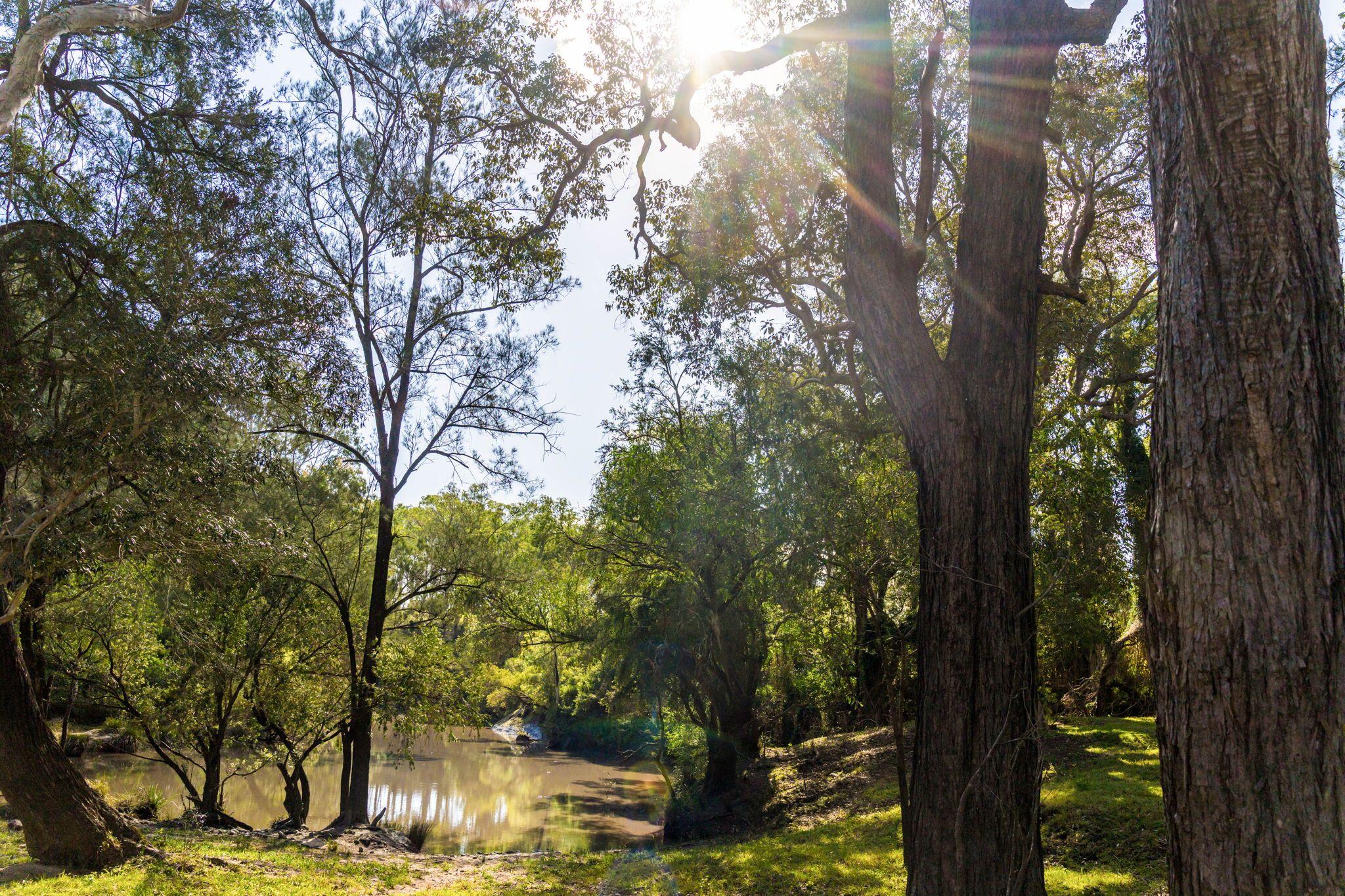 Acreage/Semi-Rural for Sale: Tabulam, NSW 2469, NSW, 2469