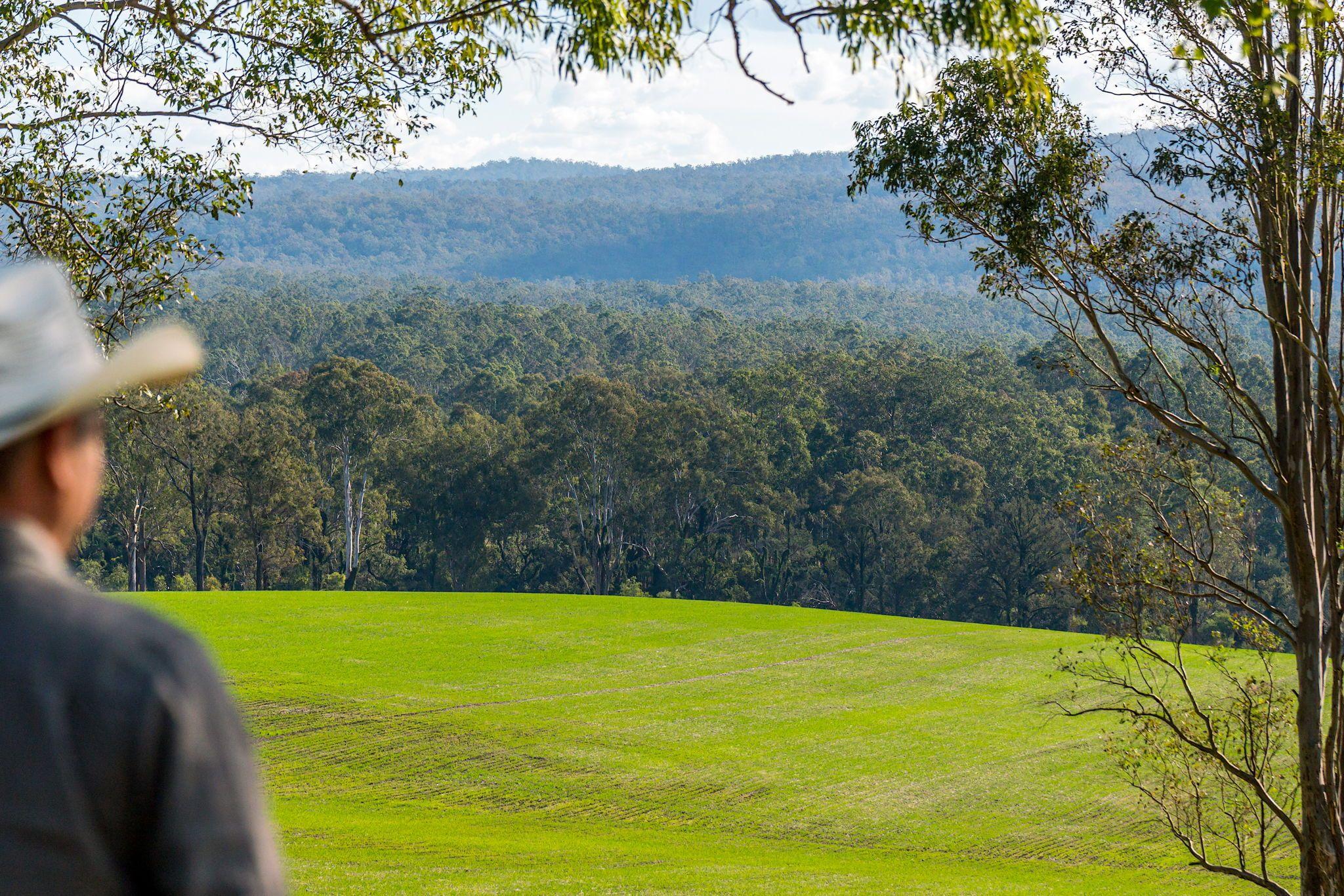 Acreage/Semi-Rural for Sale: Tabulam, NSW 2469, NSW, 2469