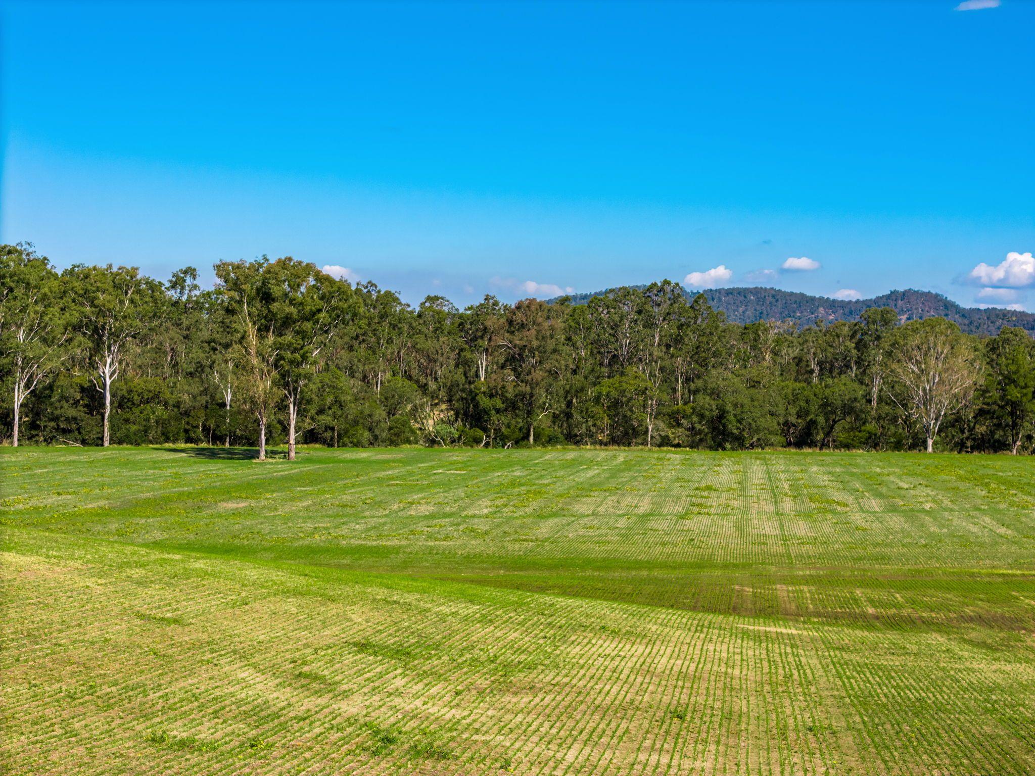 Acreage/Semi-Rural for Sale: Tabulam, NSW 2469, NSW, 2469