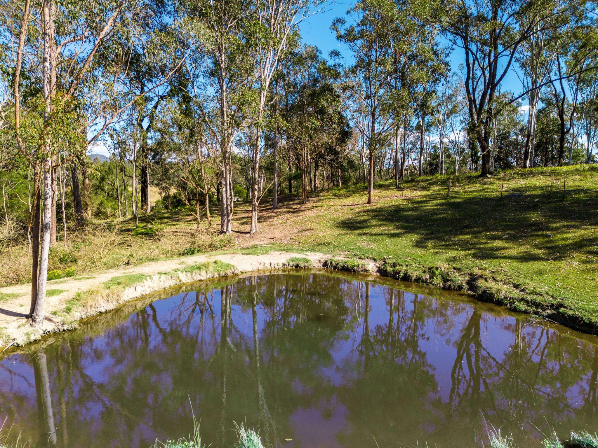 Acreage/Semi-Rural for Sale: Tabulam, NSW 2469, NSW, 2469