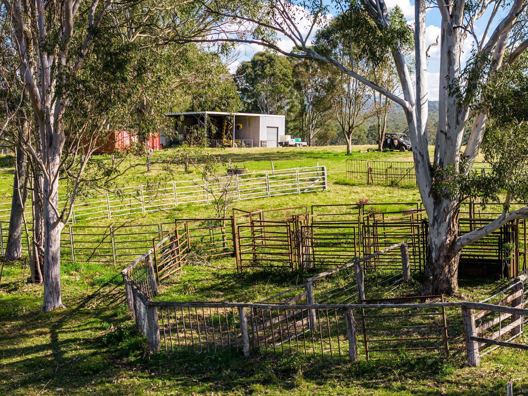 Acreage/Semi-Rural for Sale: Tabulam, NSW 2469, NSW, 2469