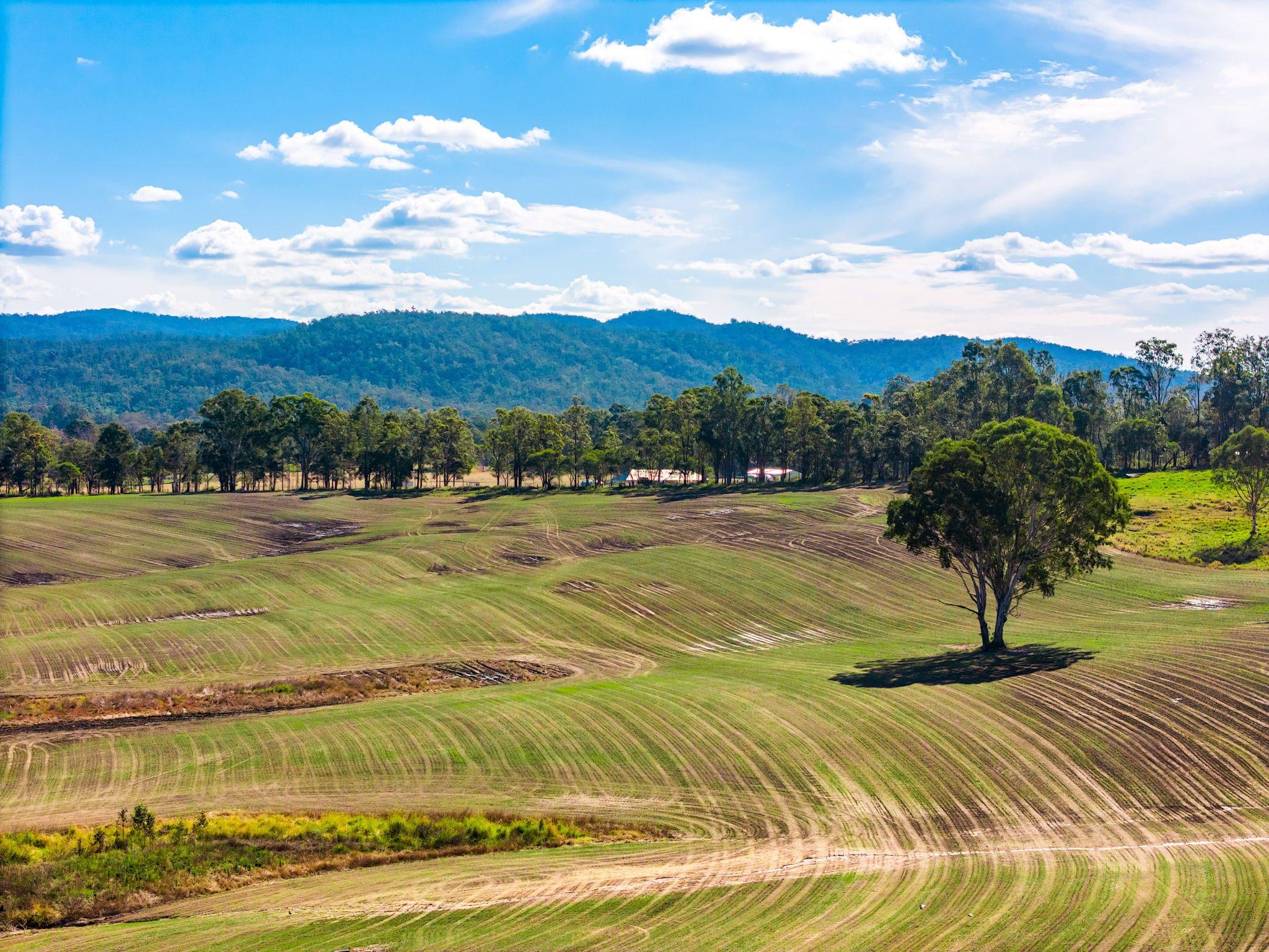 Acreage/Semi-Rural for Sale: Tabulam, NSW 2469, NSW, 2469