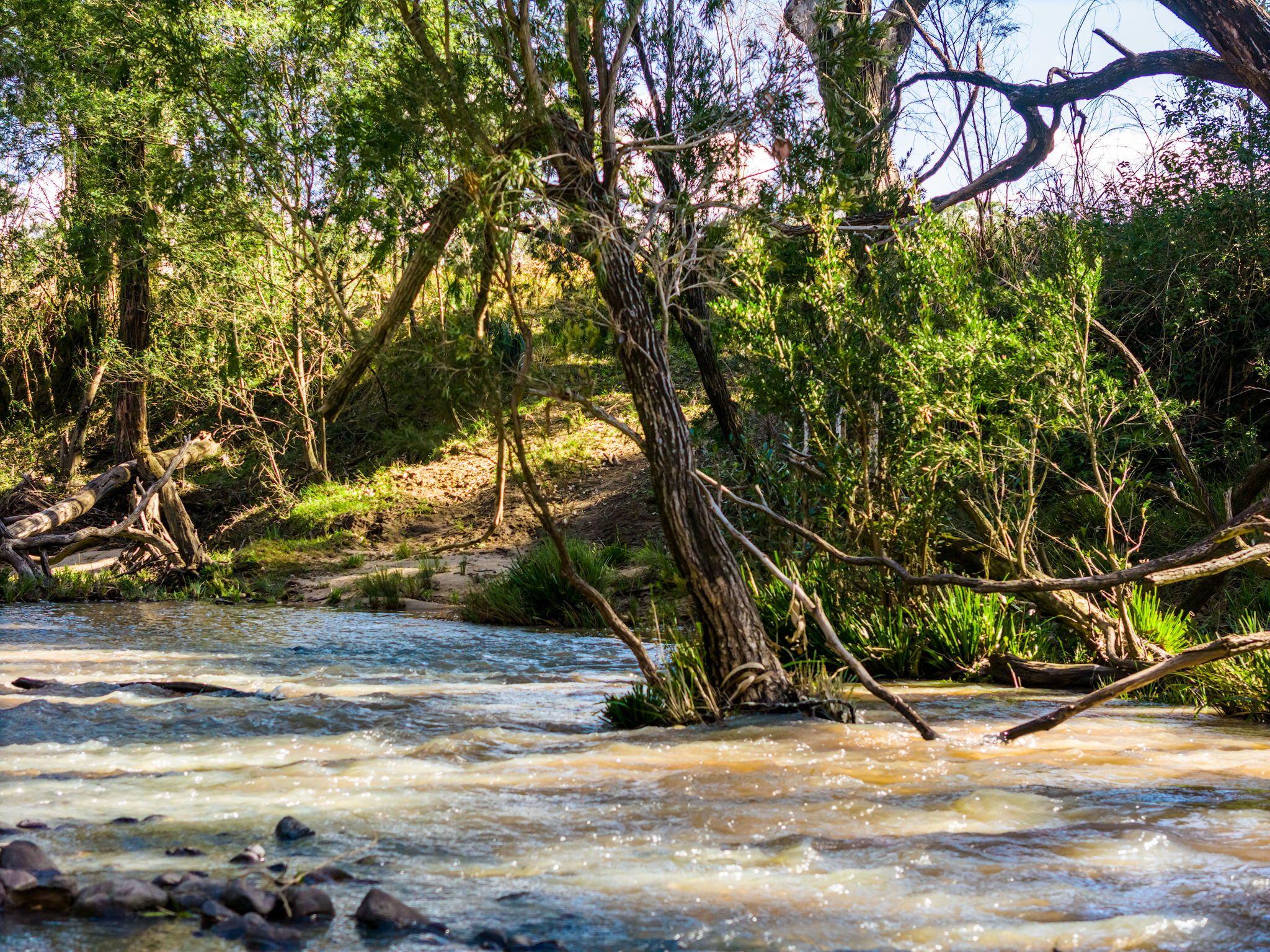 Acreage/Semi-Rural for Sale: Tabulam, NSW 2469, NSW, 2469